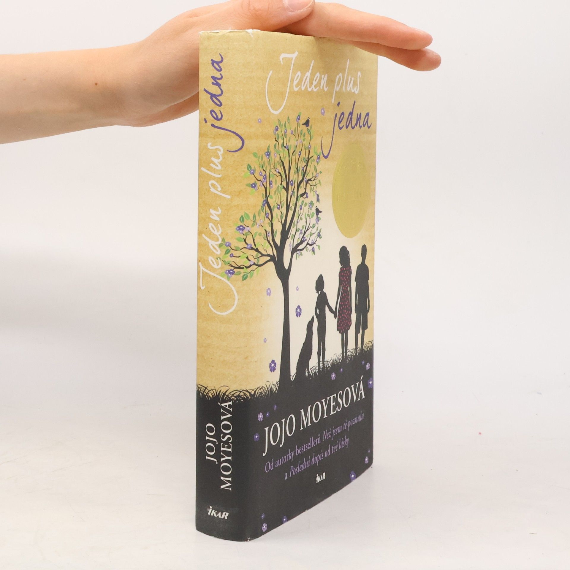 Jojo Moyes Jeden plus jedna