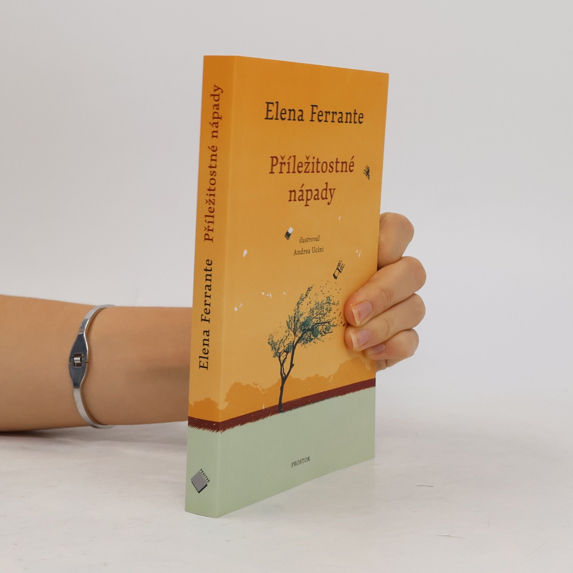 Elena Ferrante Příležitostné nápady