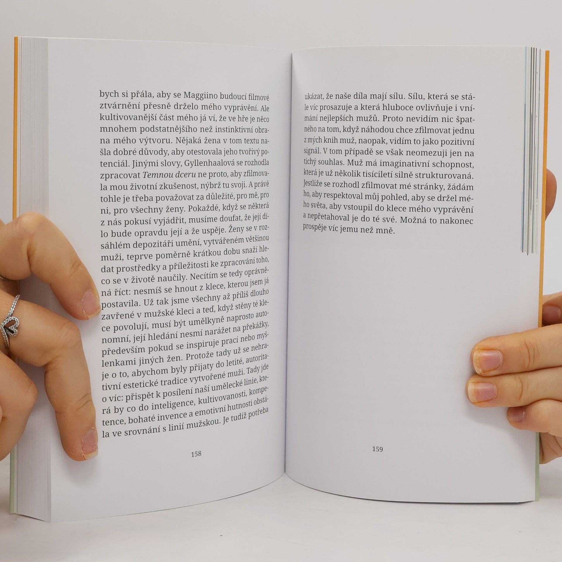 Elena Ferrante Příležitostné nápady