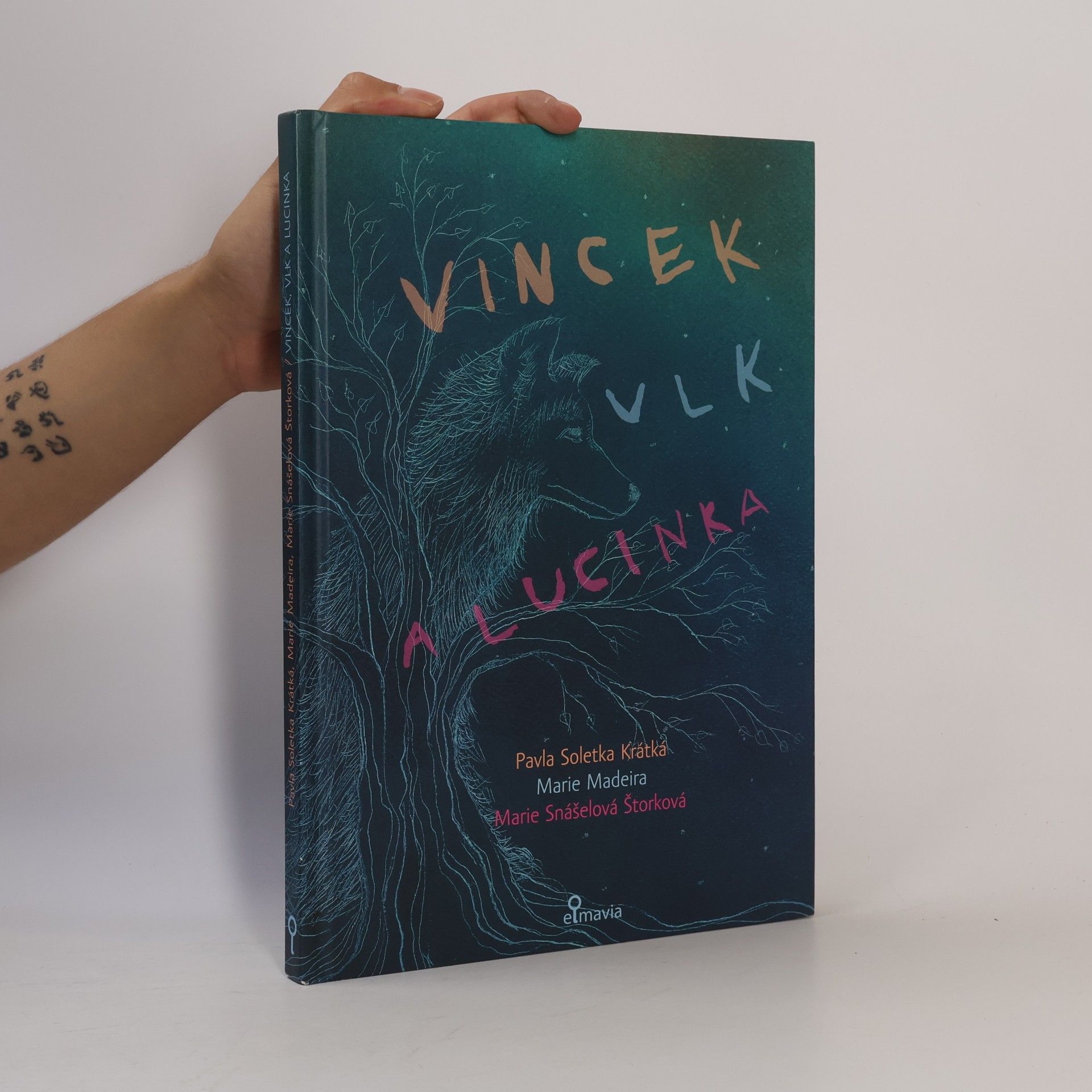 Pavla Soletka Krátká Vincek, Vlk a Lucinka