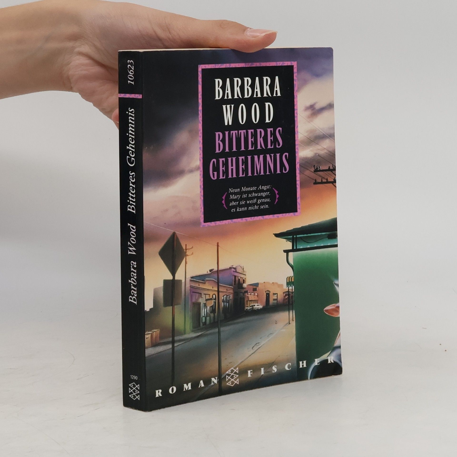 Barbara Wood Bitteres Geheimnis