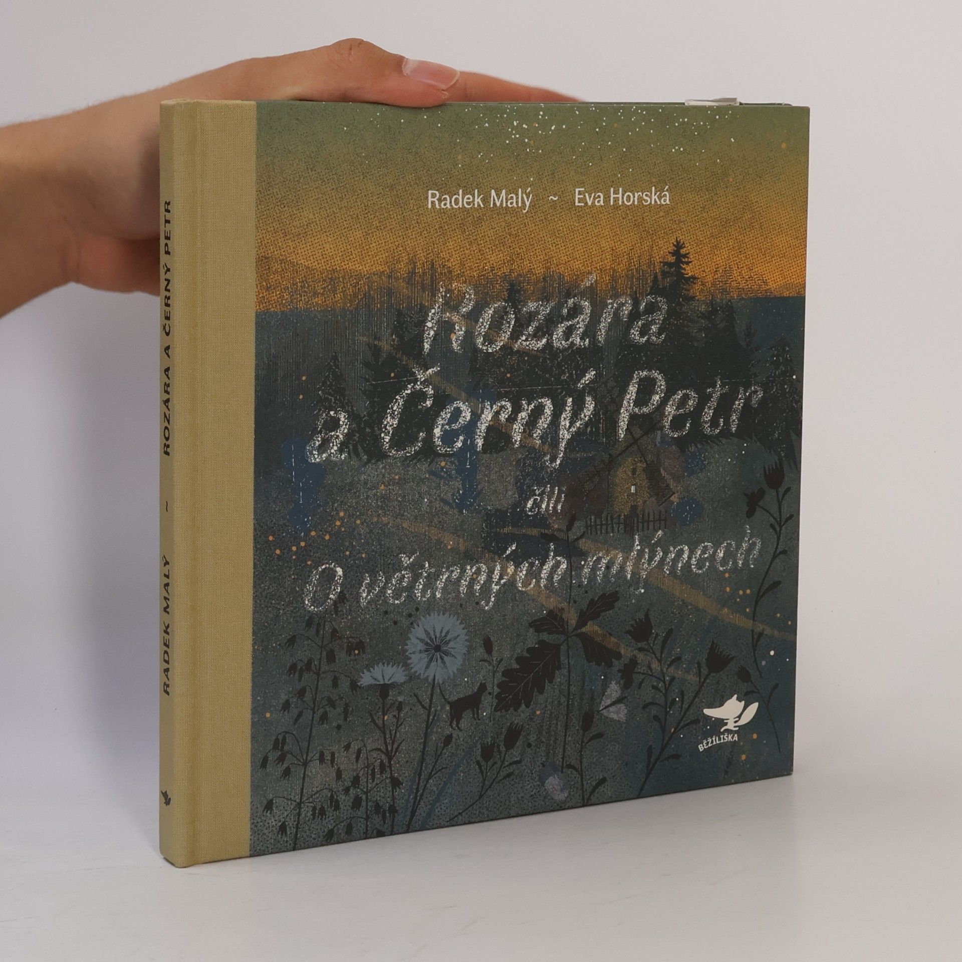 Radek Malý Rozára a Černý Petr čili O větrných mlýnech