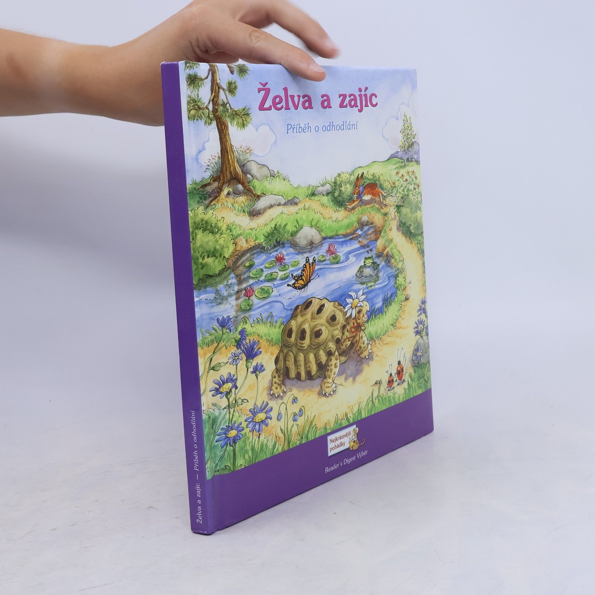 Susan M. Jaekel Želva a zajíc : příběh o odhodlání