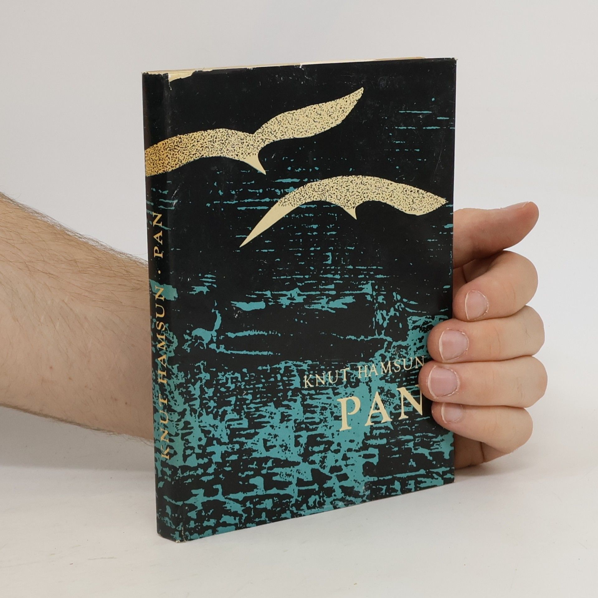 Knut Hamsun Pan