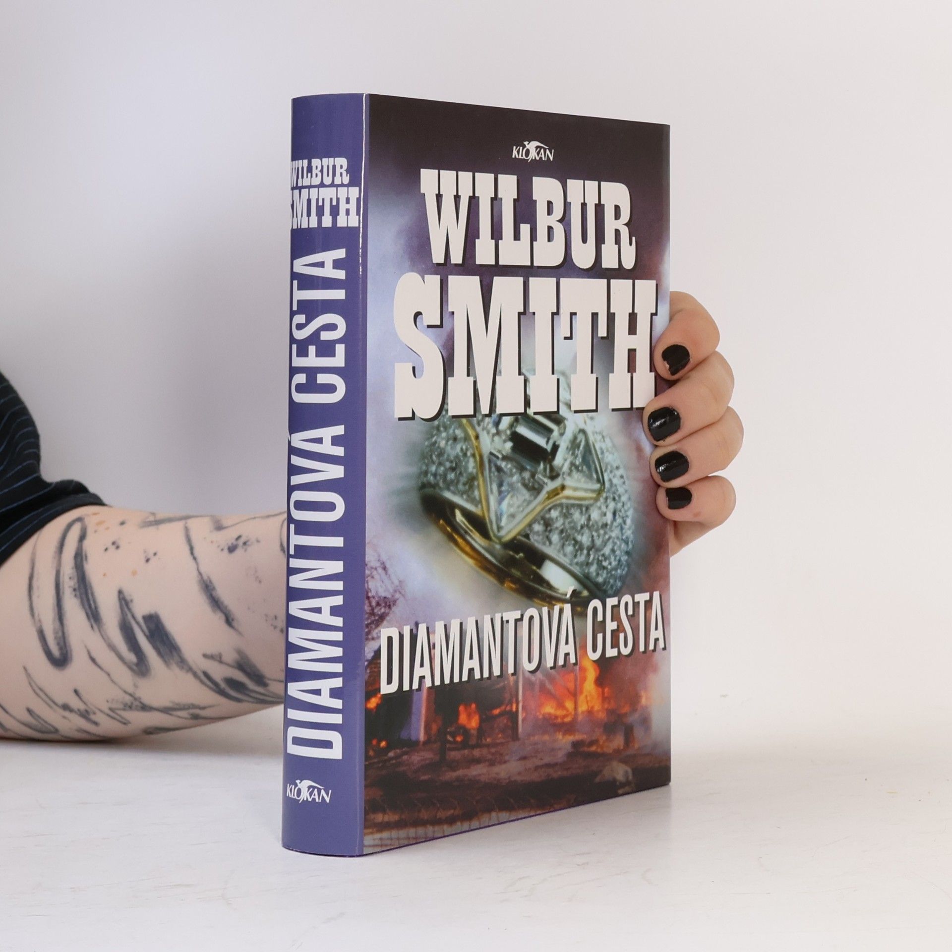 Wilbur Smith Diamantová cesta