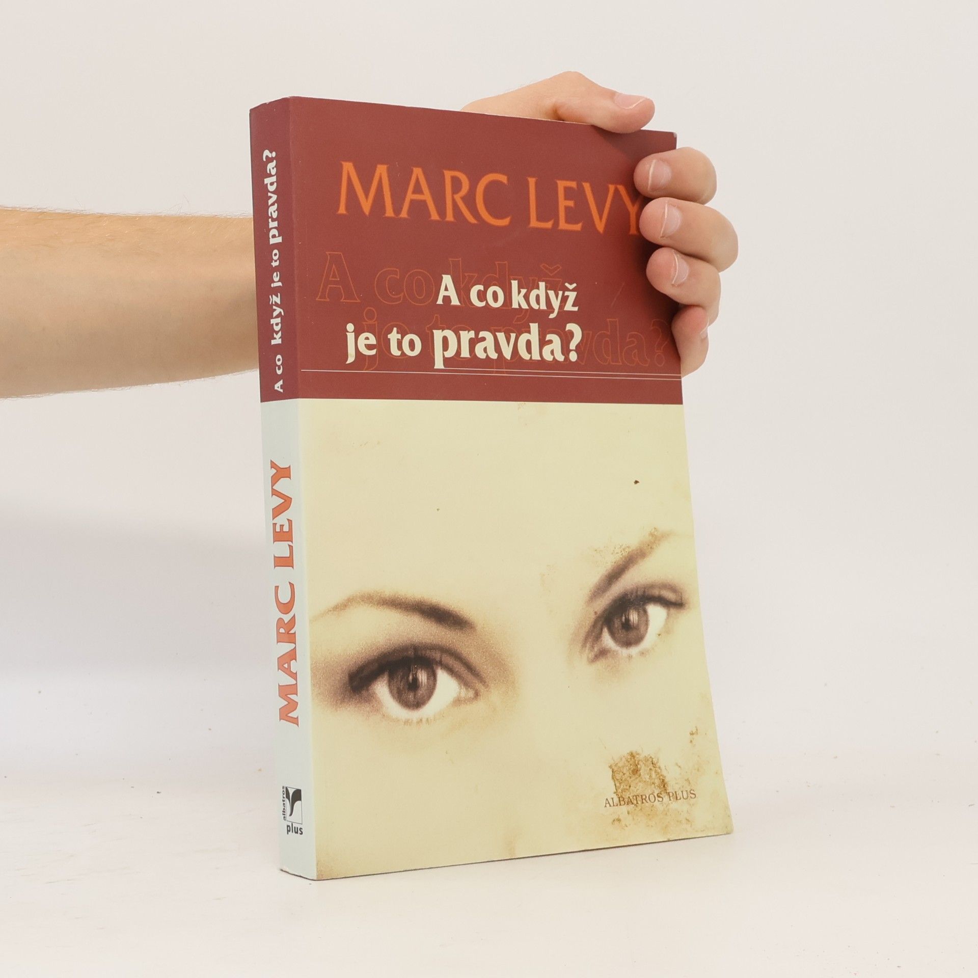 Marc Lévy A co když je to pravda?