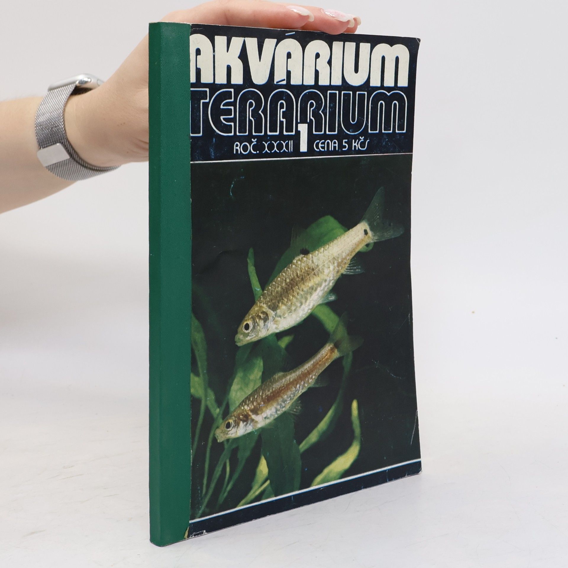 Autorenkollektiv Akvárium terárium 5