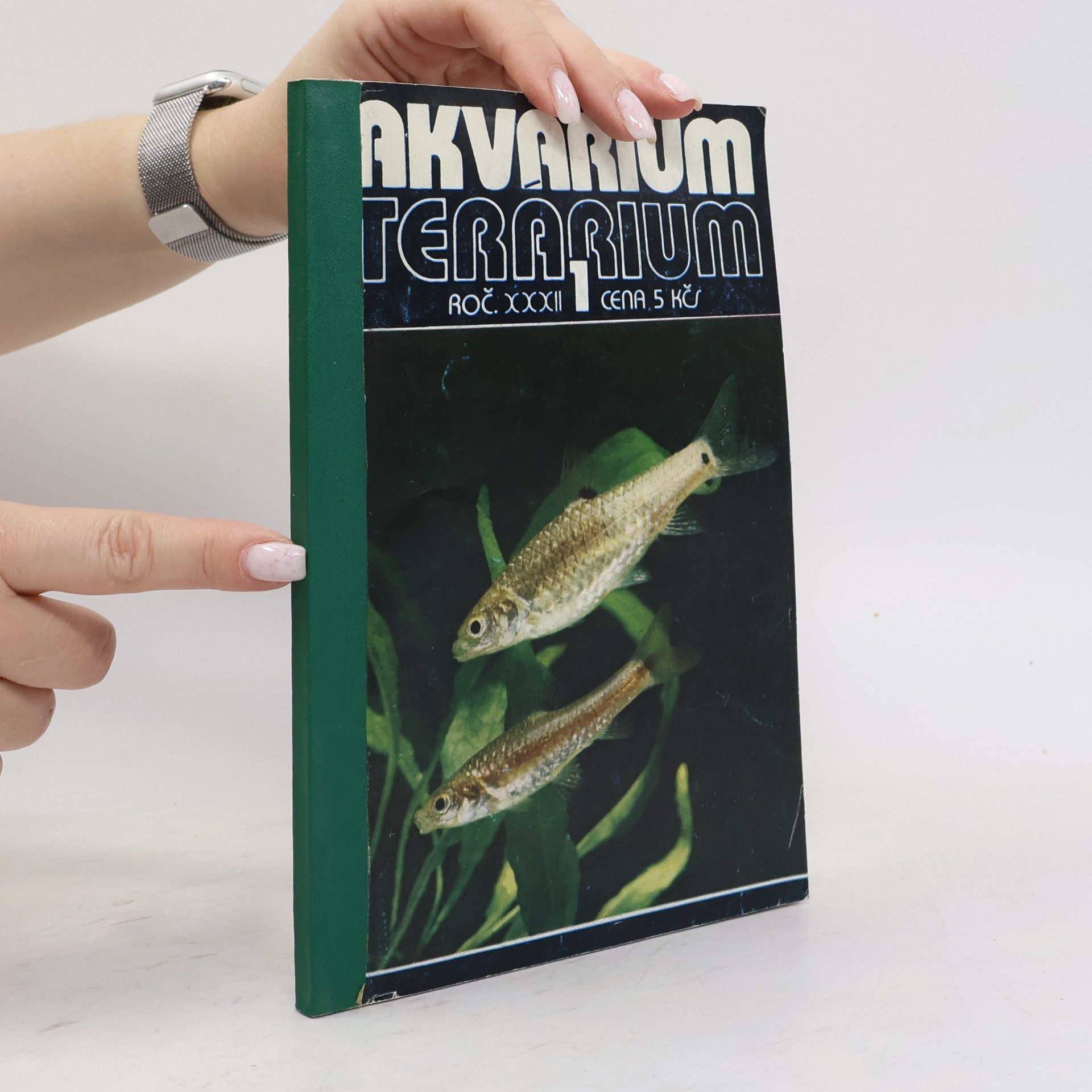 Autorenkollektiv Akvárium terárium 5