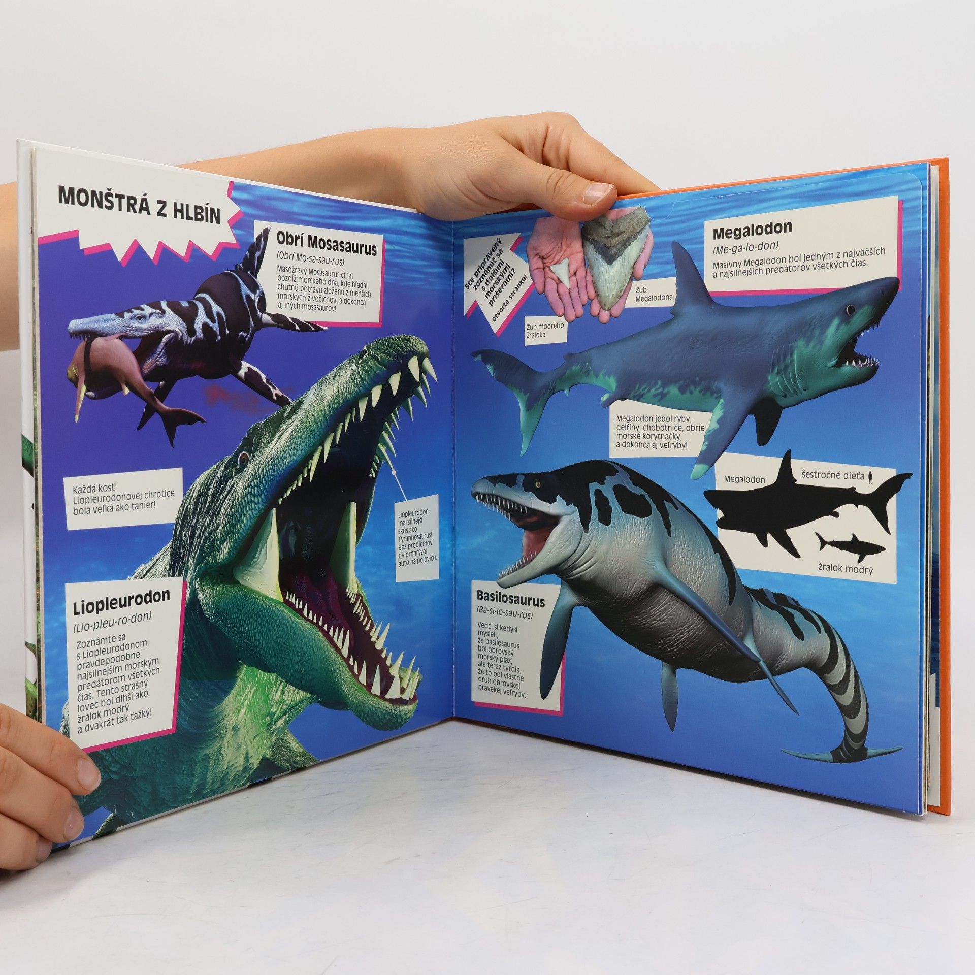 Autores varios Úžasné dinosaury: veľké rozkladacie strany plné faktov