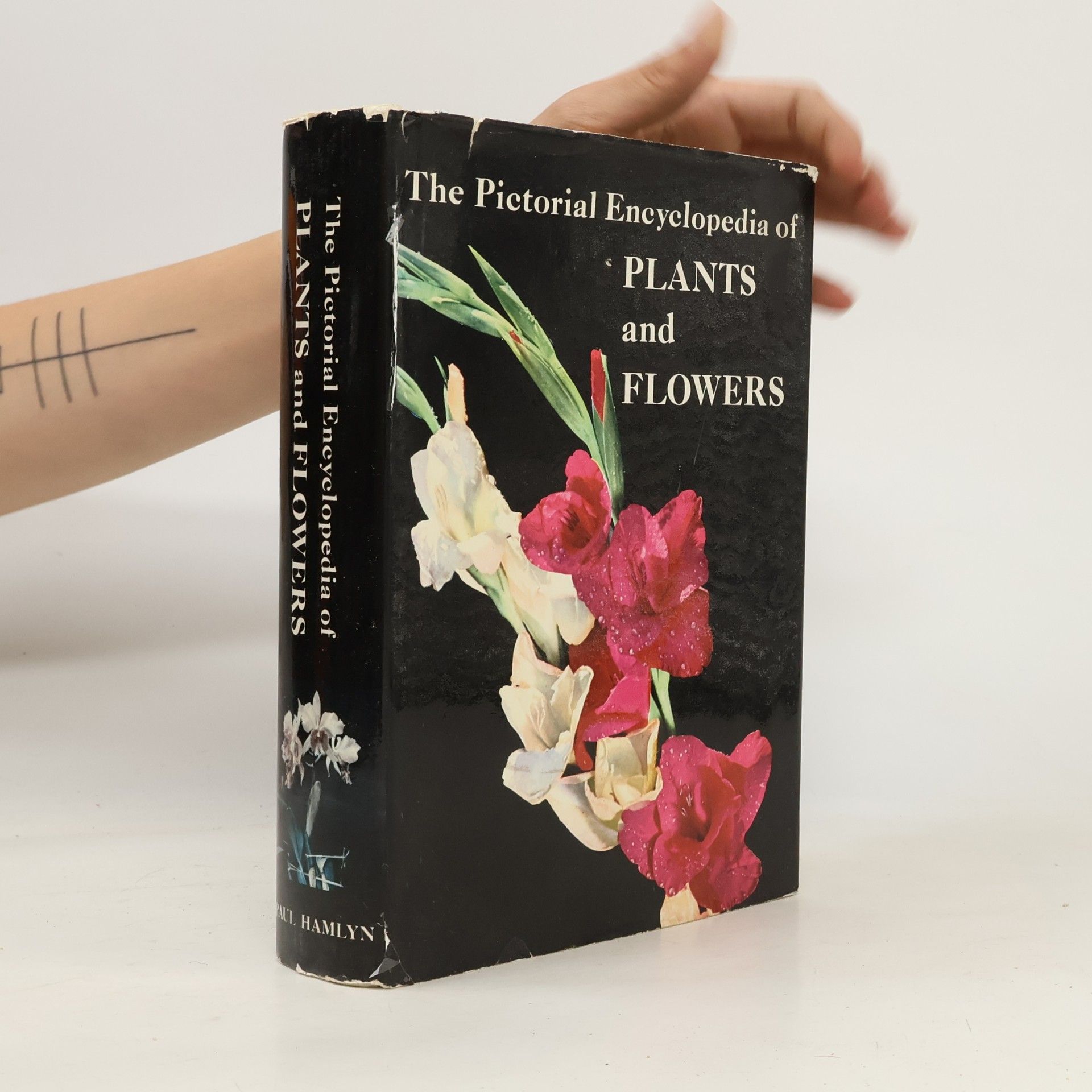 František Antonín Novák Pictorial Encyclopedia of Plants and Flowers
