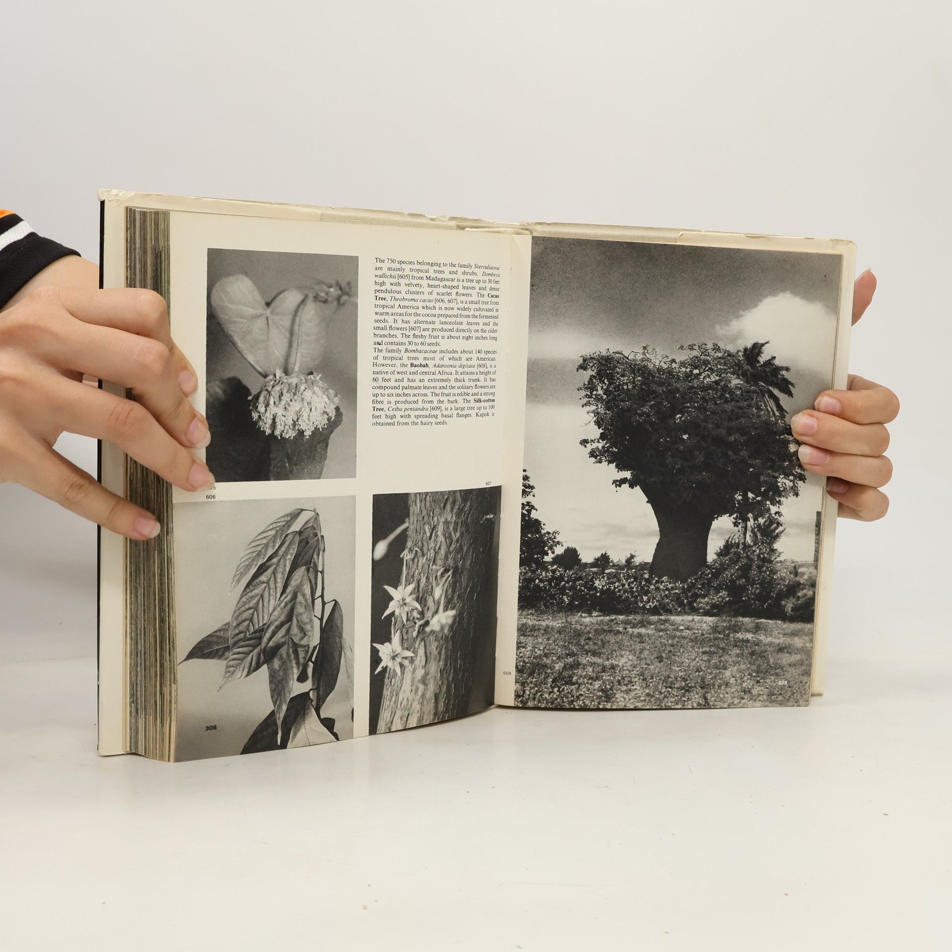 František Antonín Novák Pictorial Encyclopedia of Plants and Flowers