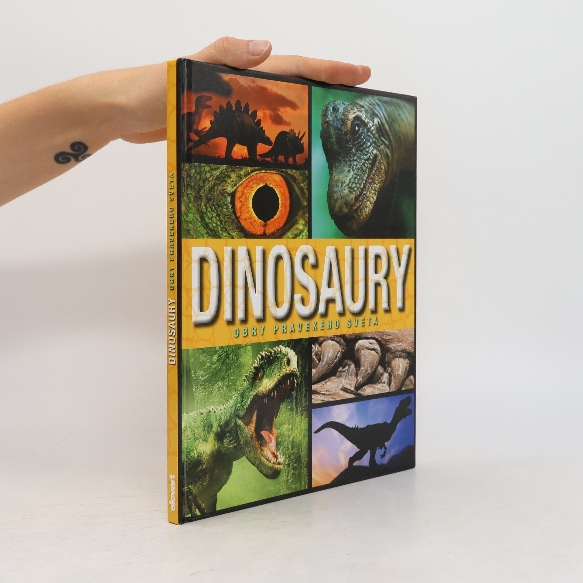 Tomáš Kapic Dinosaury: Obry pravekého sveta