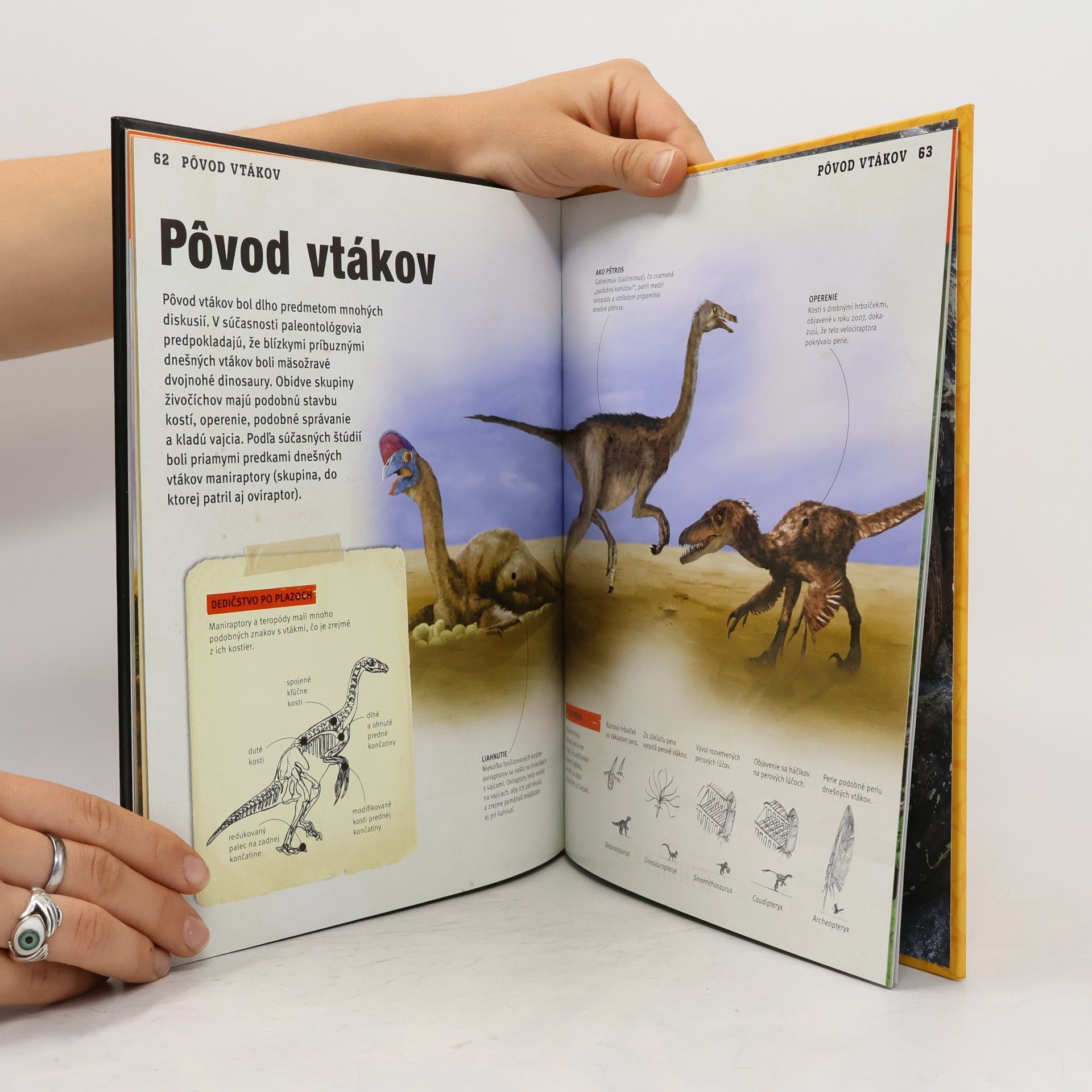 Auteurscollectief Dinosaury: Obry pravekého sveta