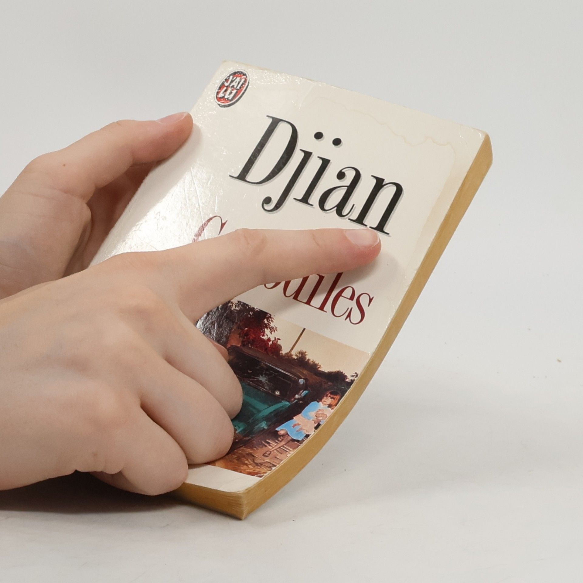 Phillippe Djian Crocodiles