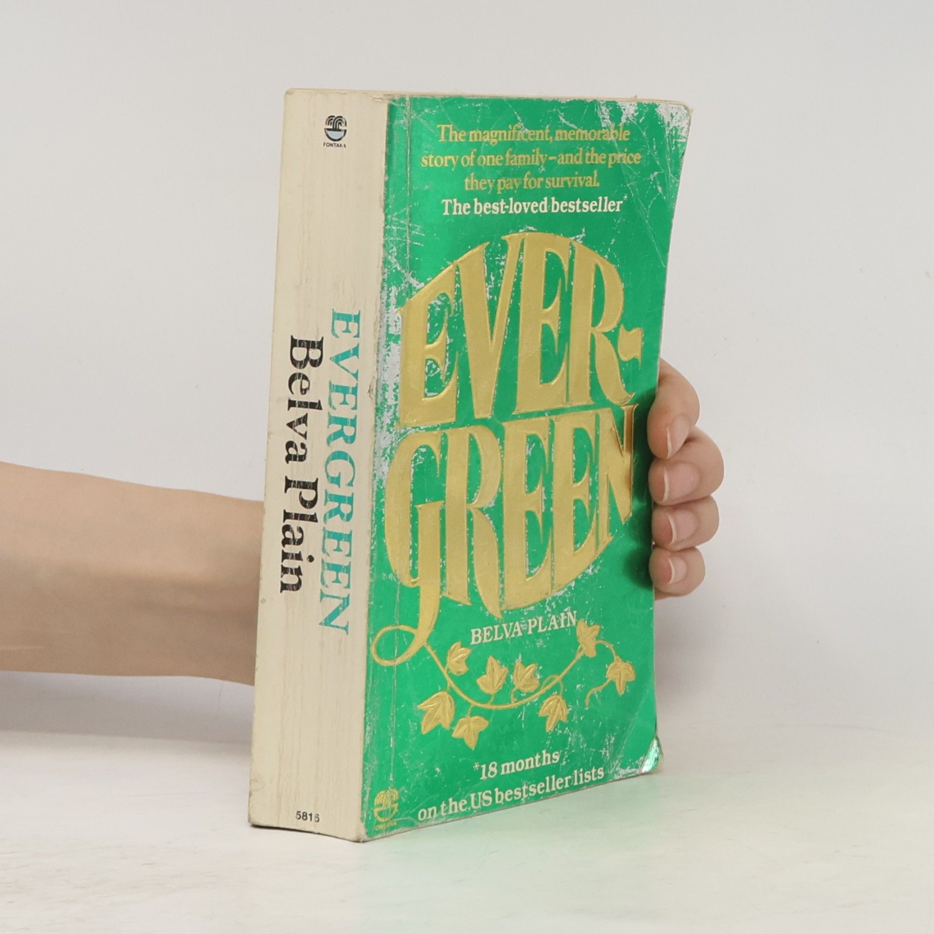 Belva Plain Evergreen