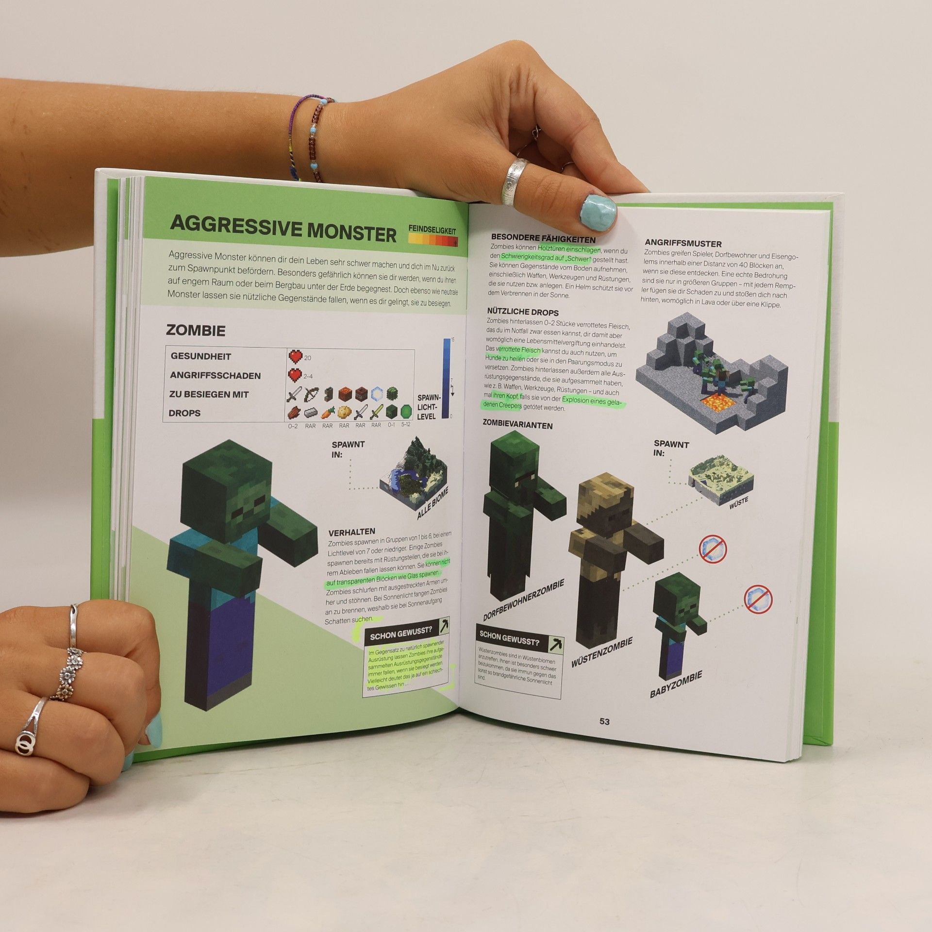 Stephanie Milton Minecraft - Handbuch für Entdecker