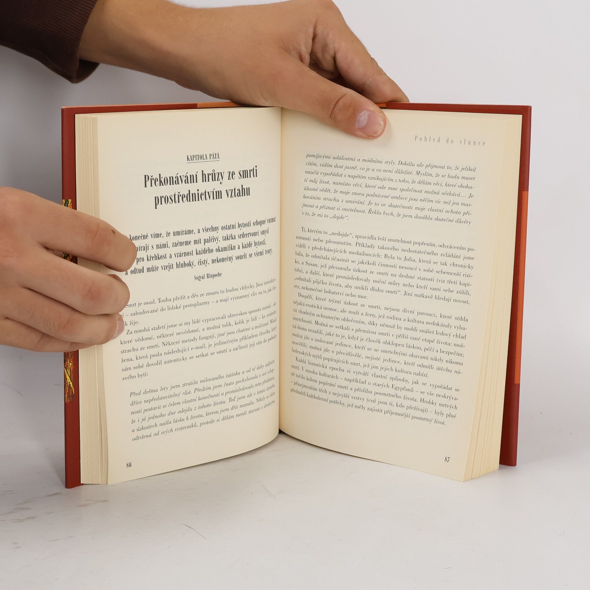 Irvin Yalom Pohled do slunce