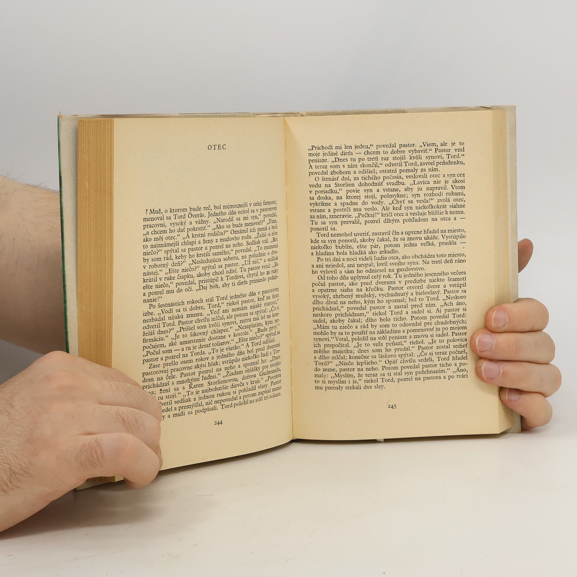 Bjørnstjerne Bjørnson Sedliacke poviedky