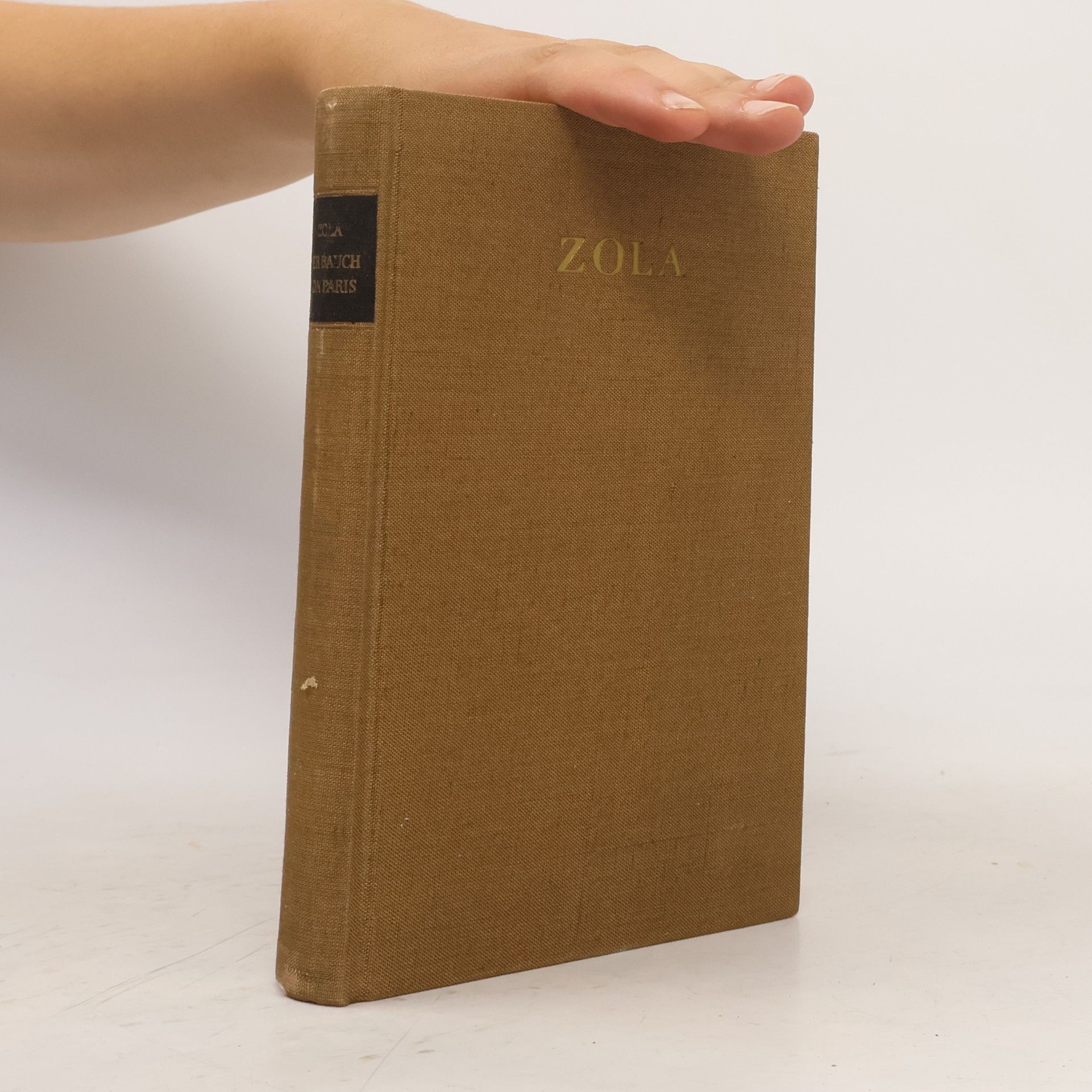 Émile Zola Der Bauch von Paris