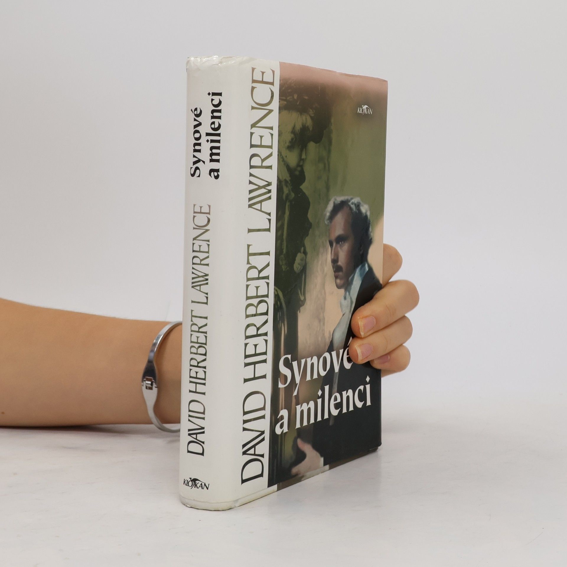 David Herbert Lawrence Synové a milenci