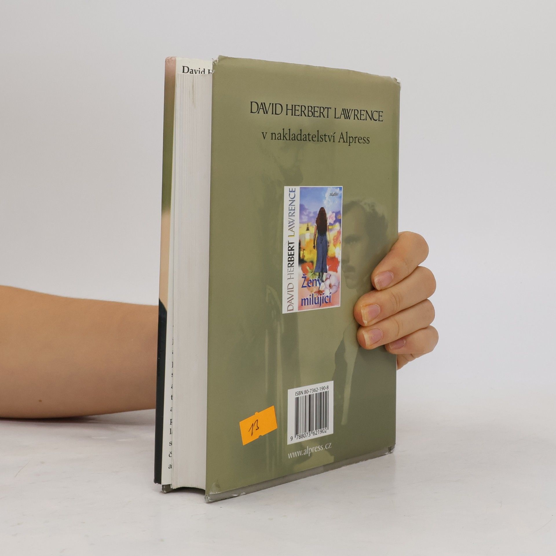D. H. Lawrence Synové a milenci