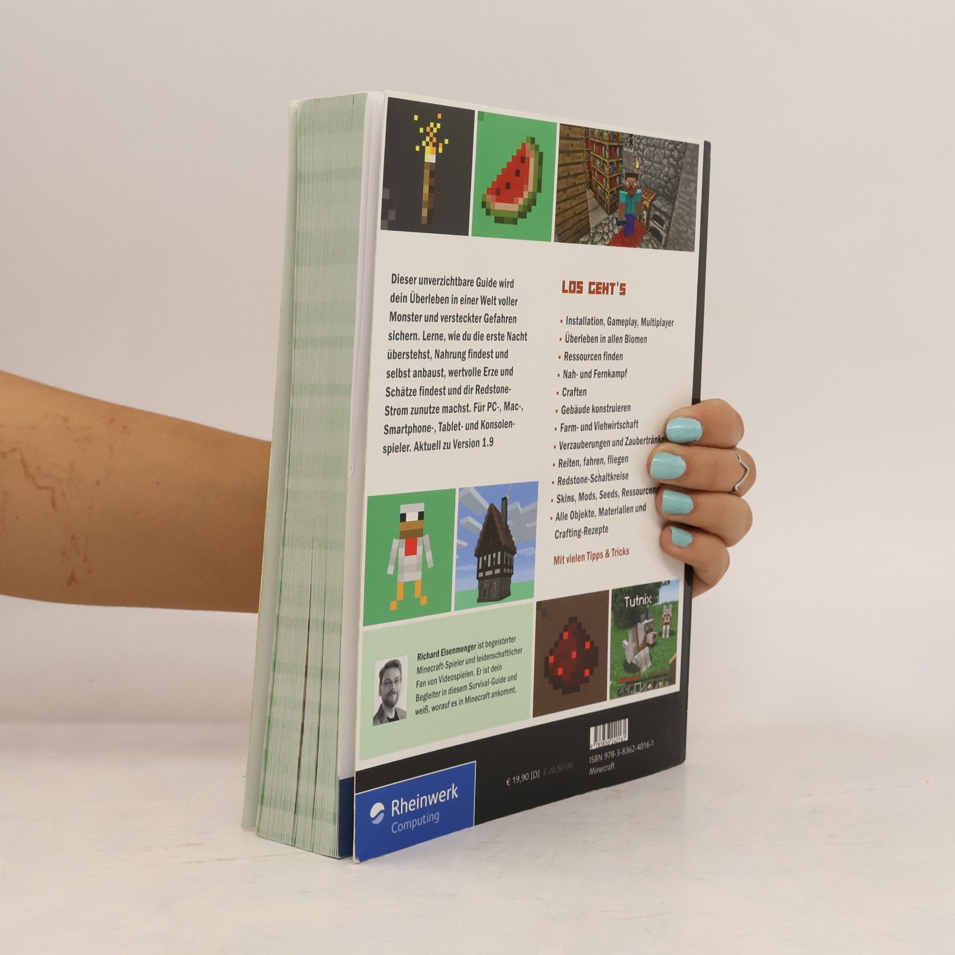 Richard Eisenmenger Minecraft - dein Survival-Guide