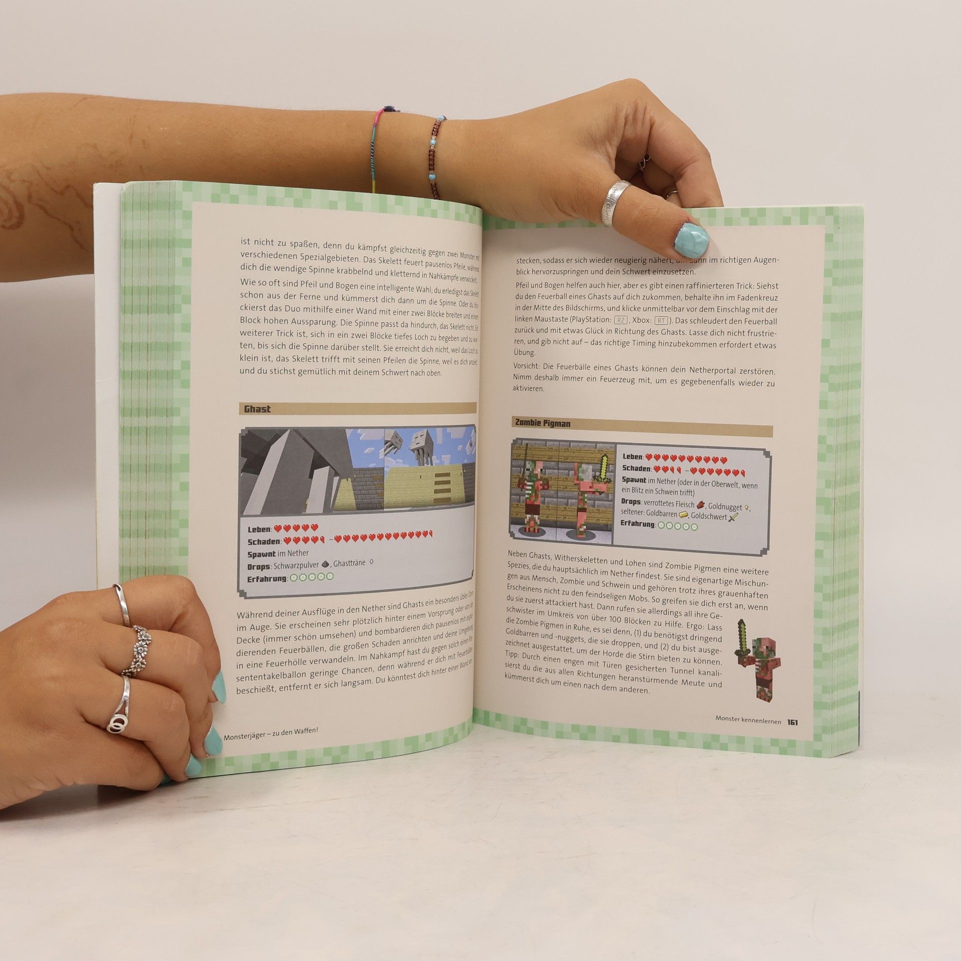 Richard Eisenmenger Minecraft - dein Survival-Guide