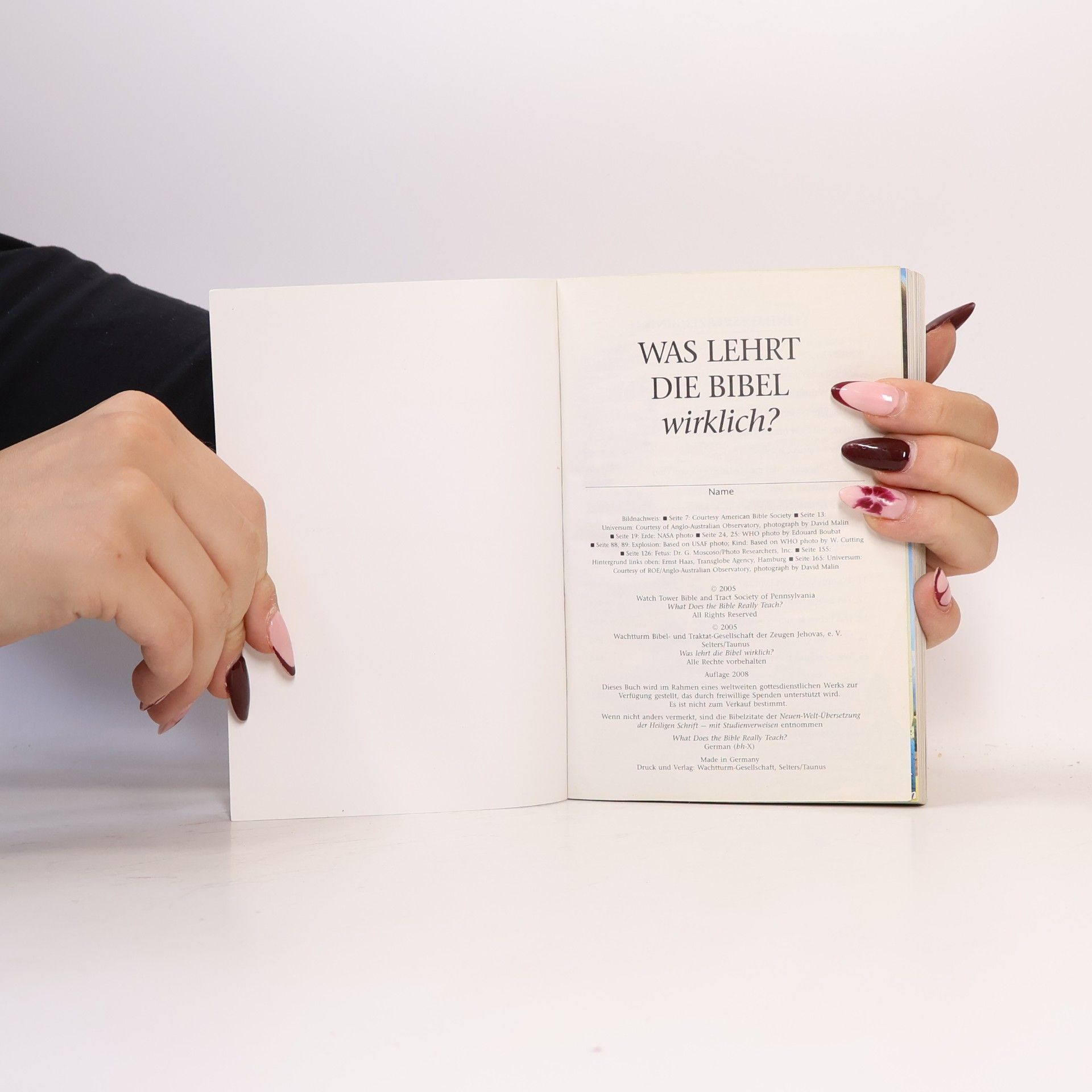 Autorenkollektiv Was lehrt die Bibel wirklich?