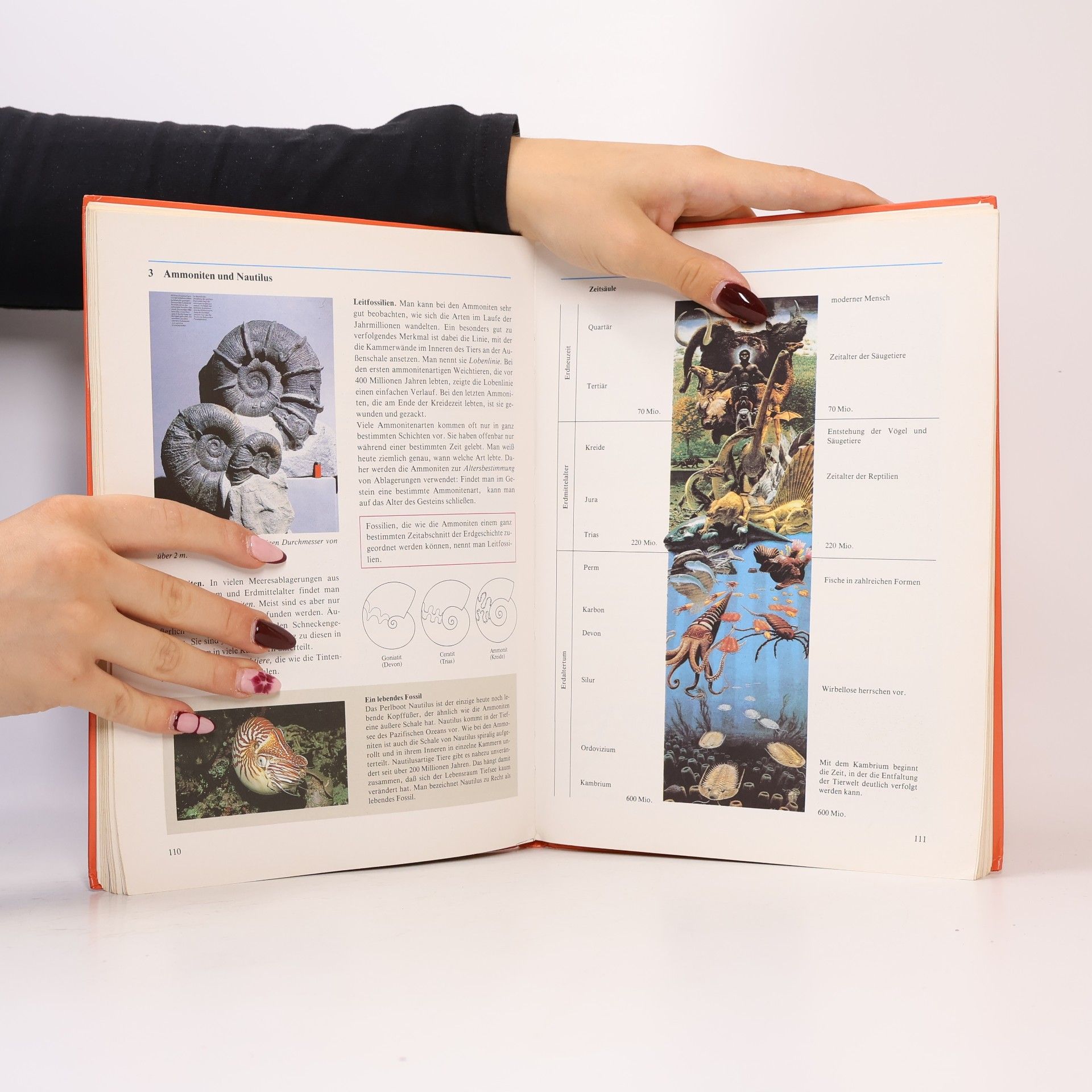 Ernst W. Bauer Biologie 2H
