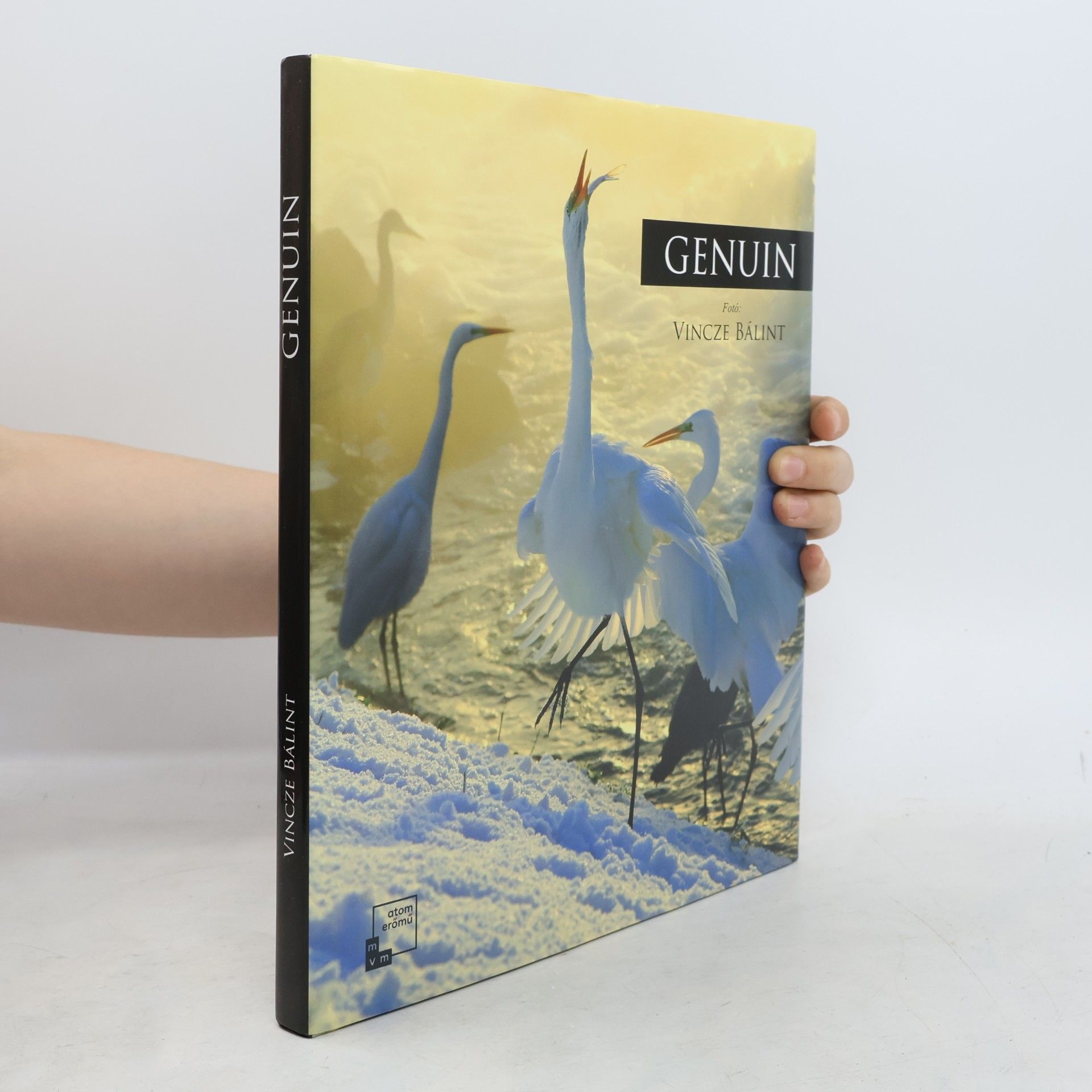 Bob Dent Genuine : the images of four years compressed into four seasons