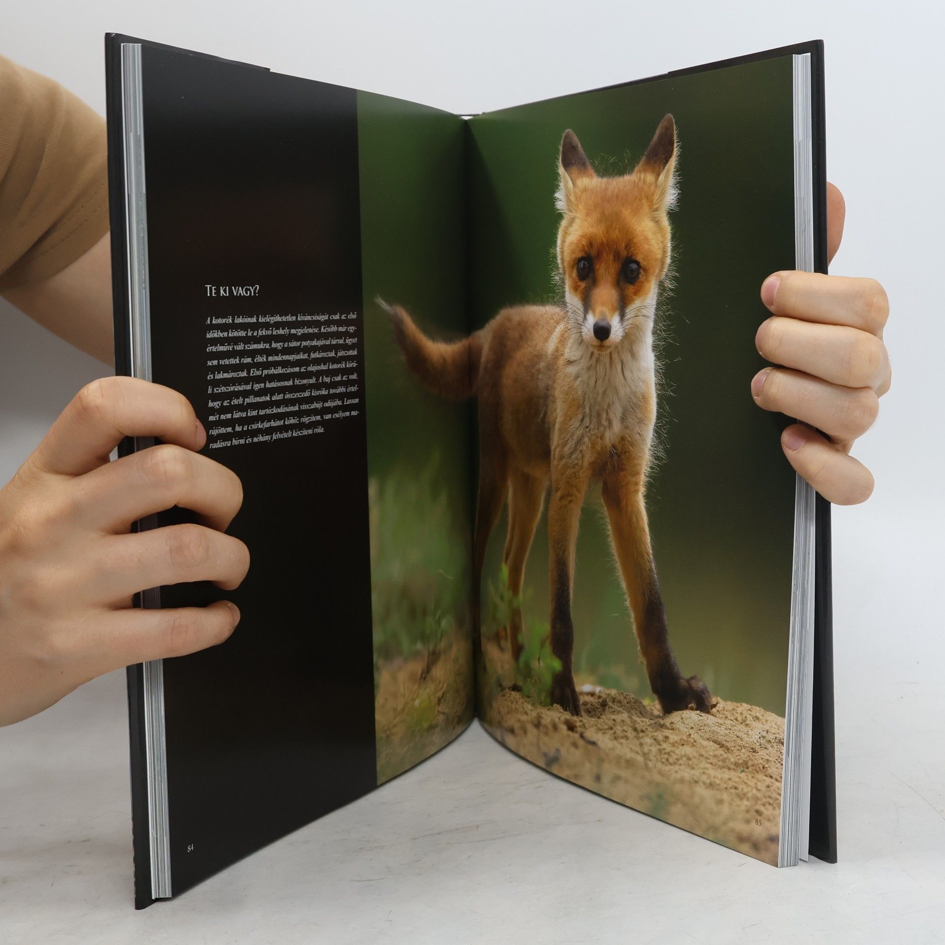 Bálint Vincze Genuine : the images of four years compressed into four seasons