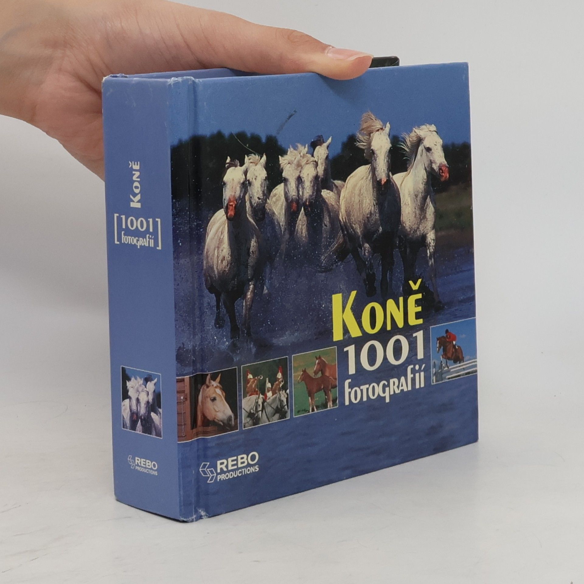 AA.VV. Koně. 1001 fotografií