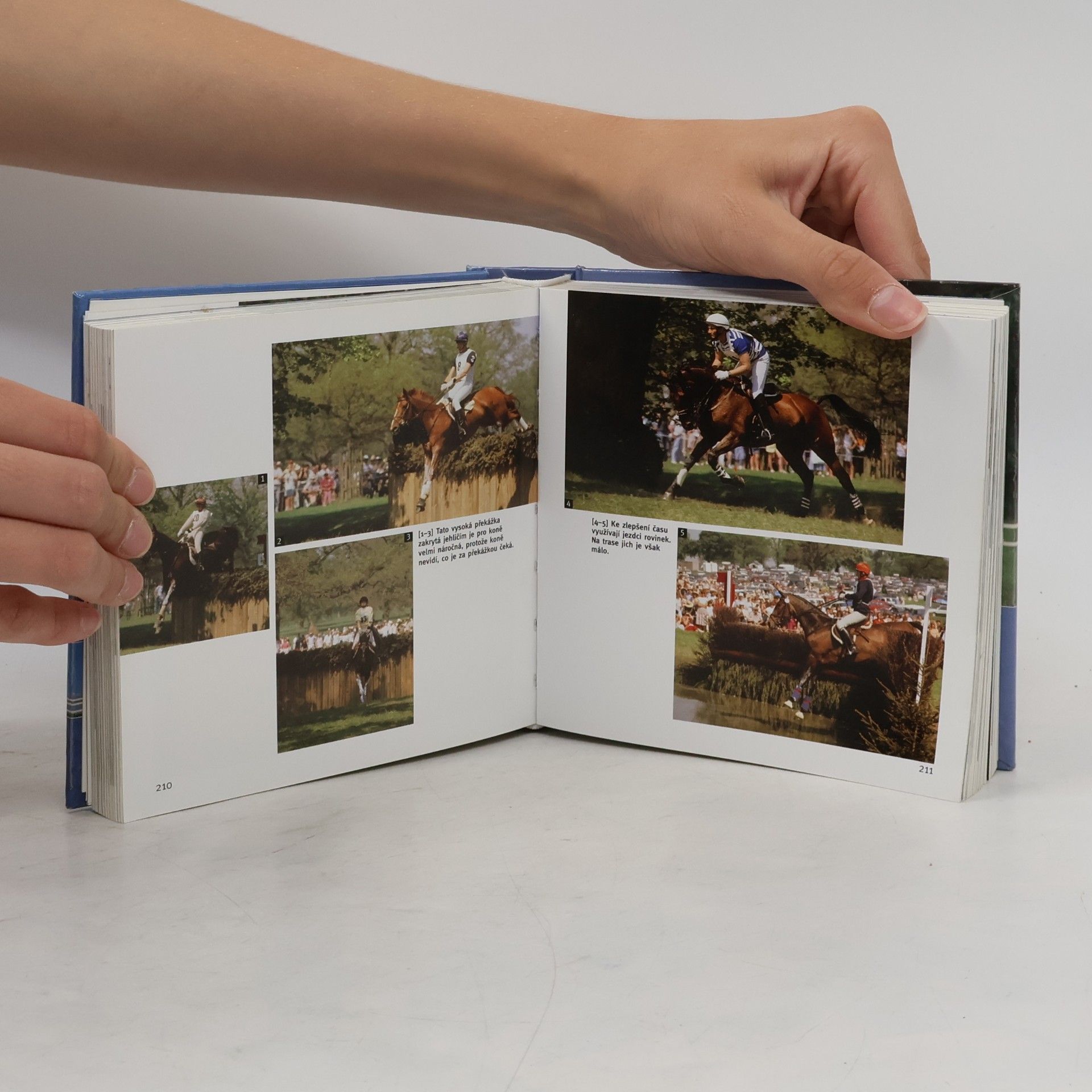 Autorenkollektiv Koně. 1001 fotografií