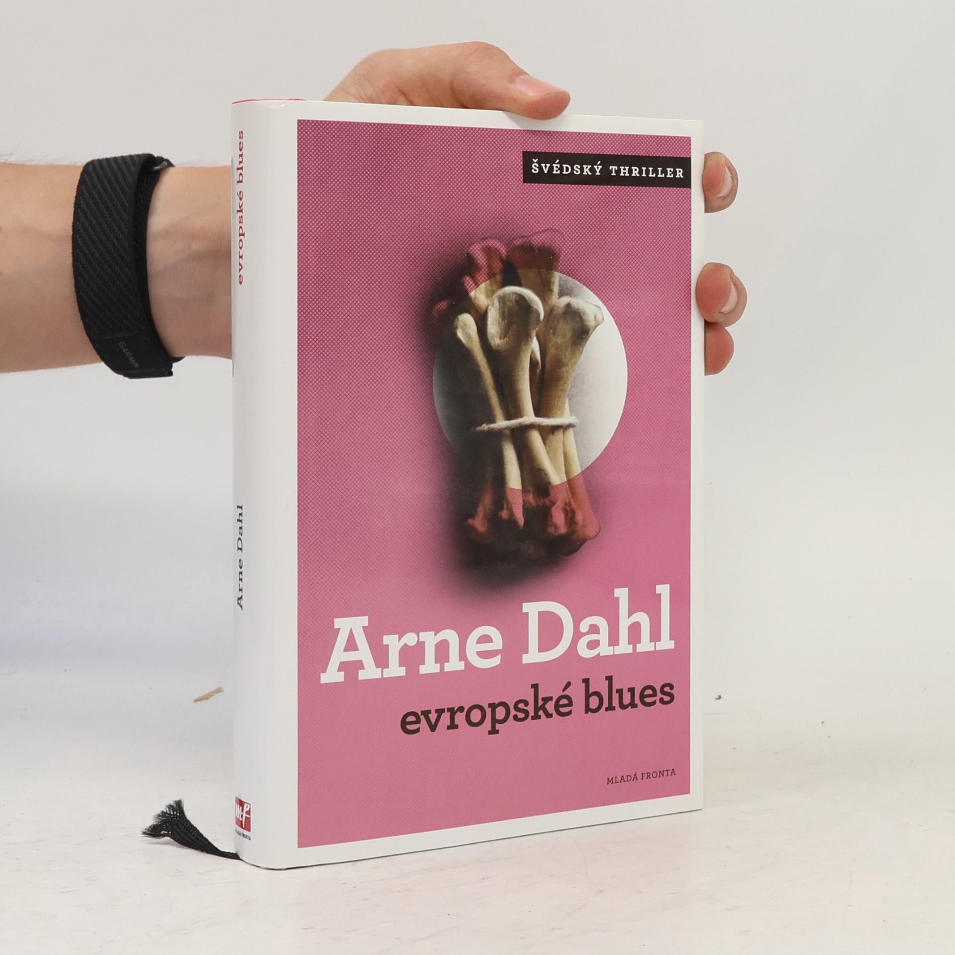 Arne Dahl Evropské blues