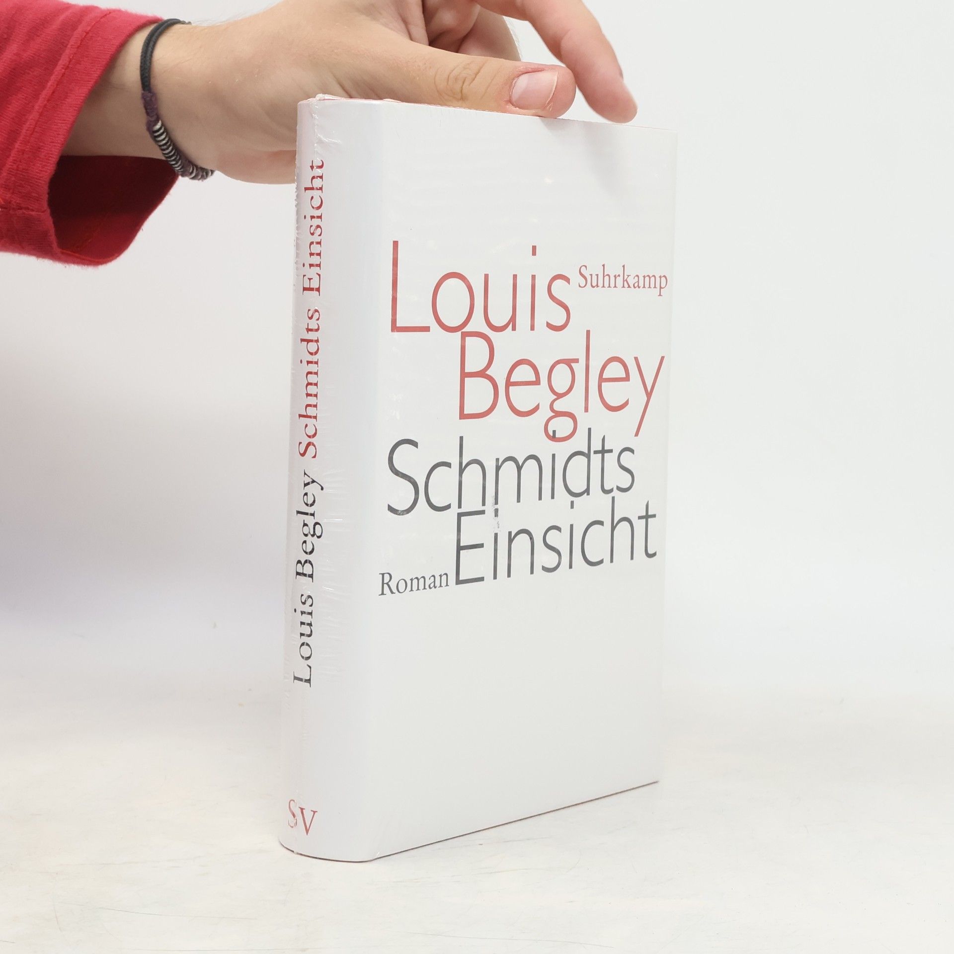 Louis Begley Schmidts Einsicht