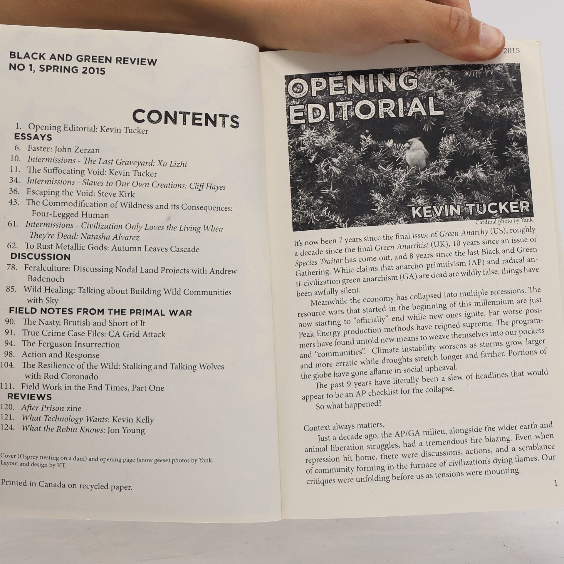 Various authors Black and Green Review