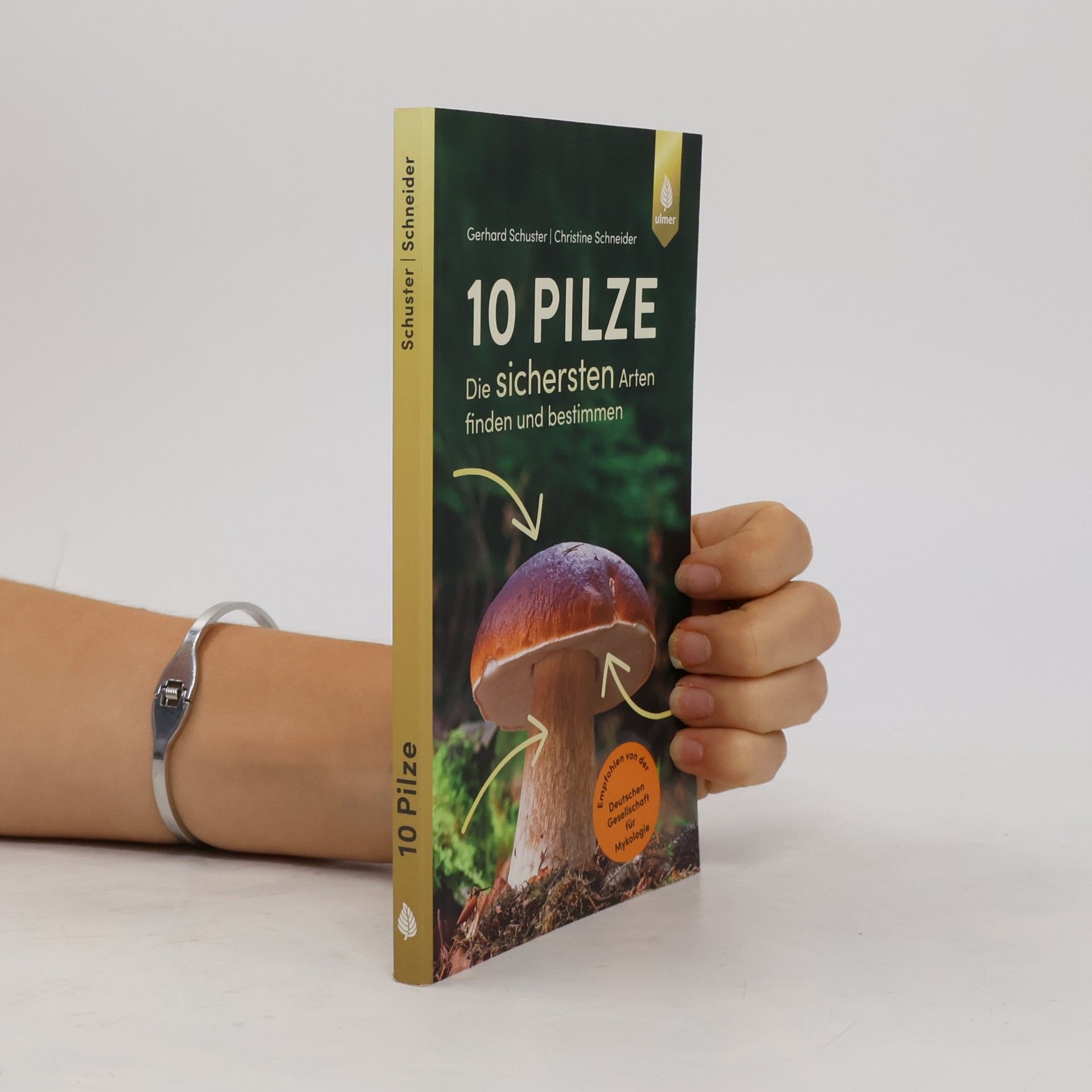Christine Schneider 10 Pilze