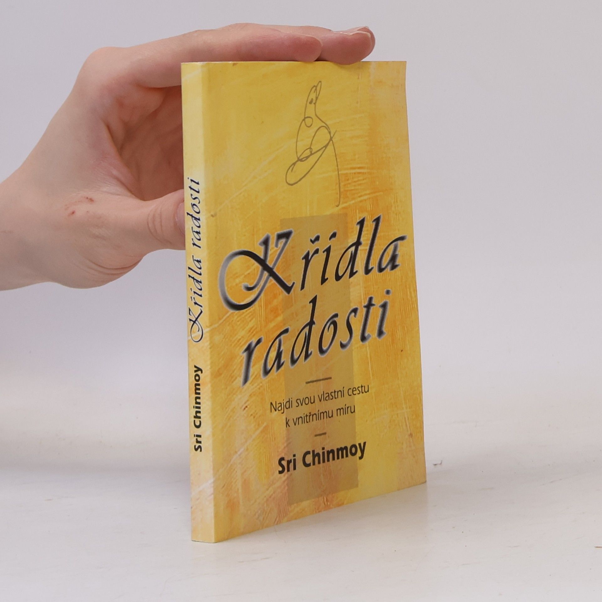 Sri Chinmoy Křídla radosti