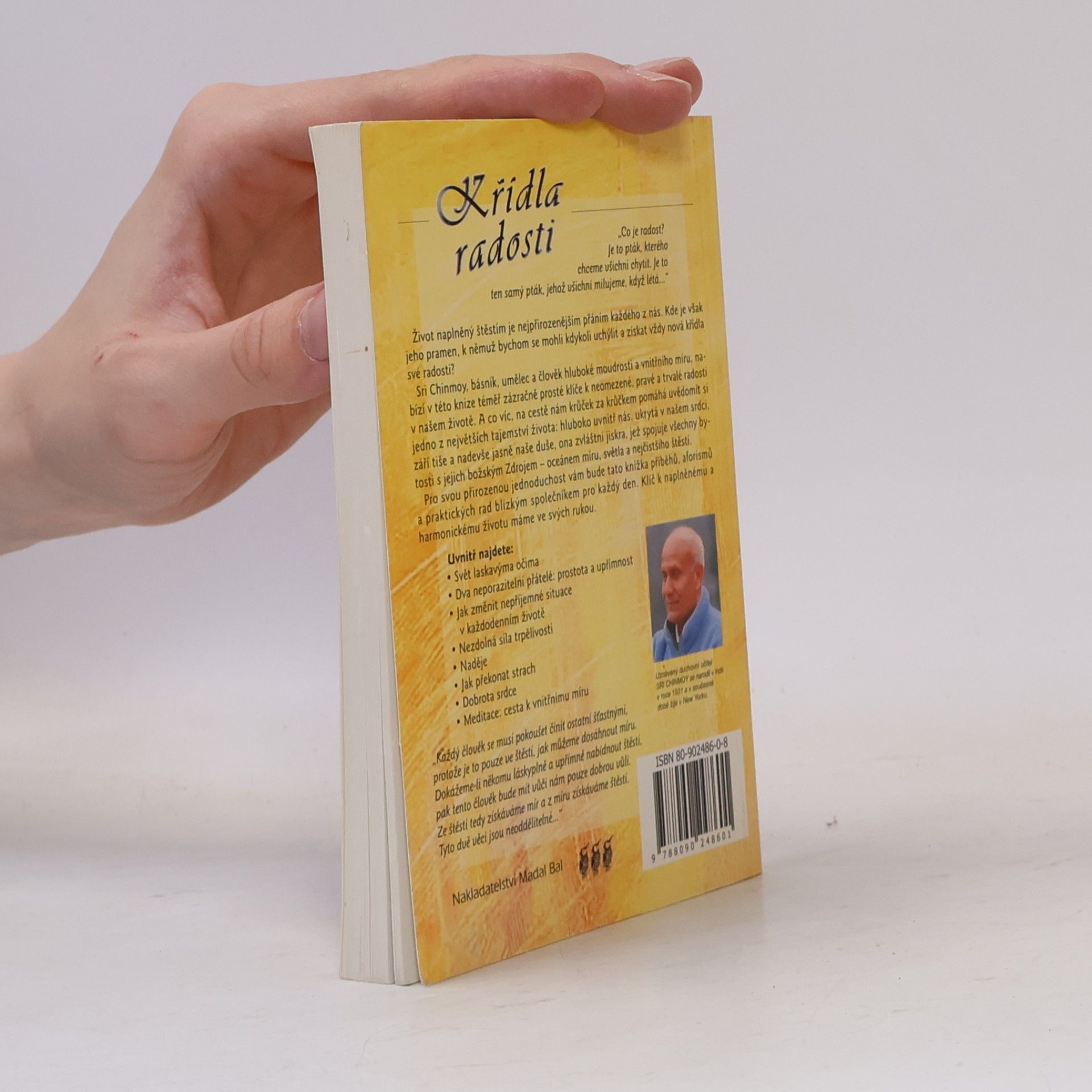 Sri Chinmoy Křídla radosti