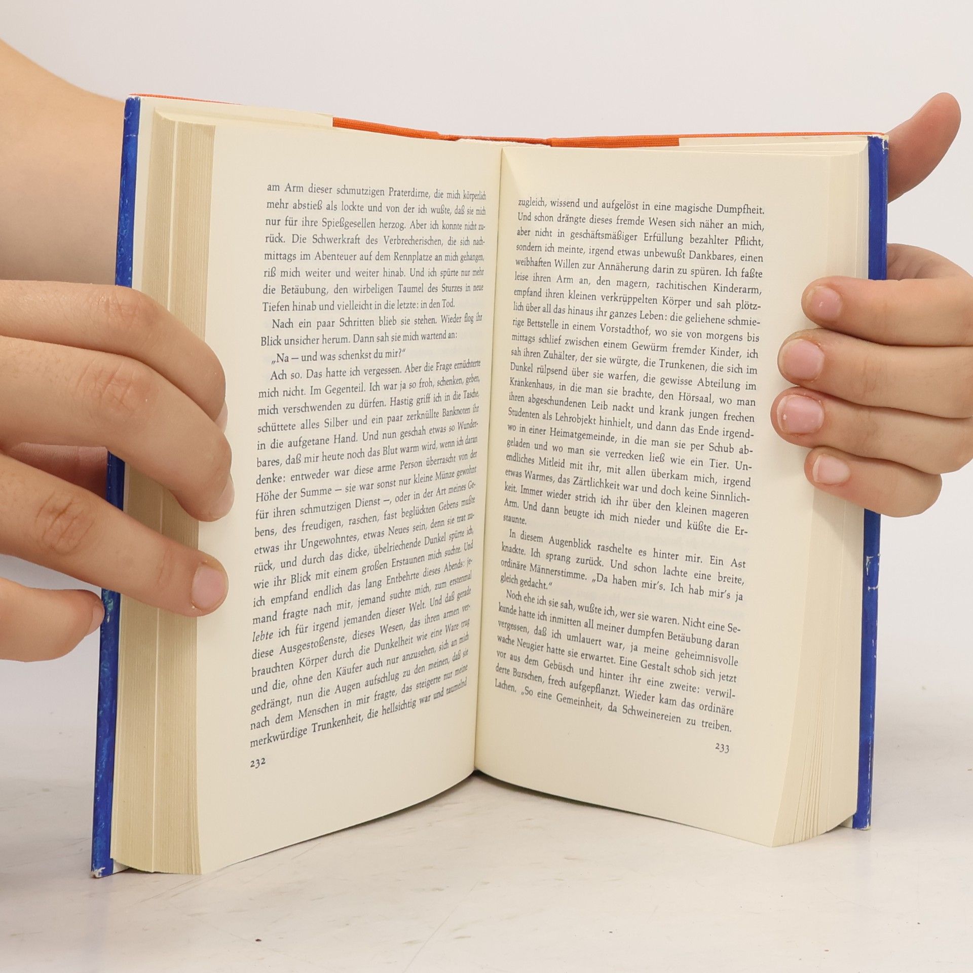 Stefan Zweig Novellen 2
