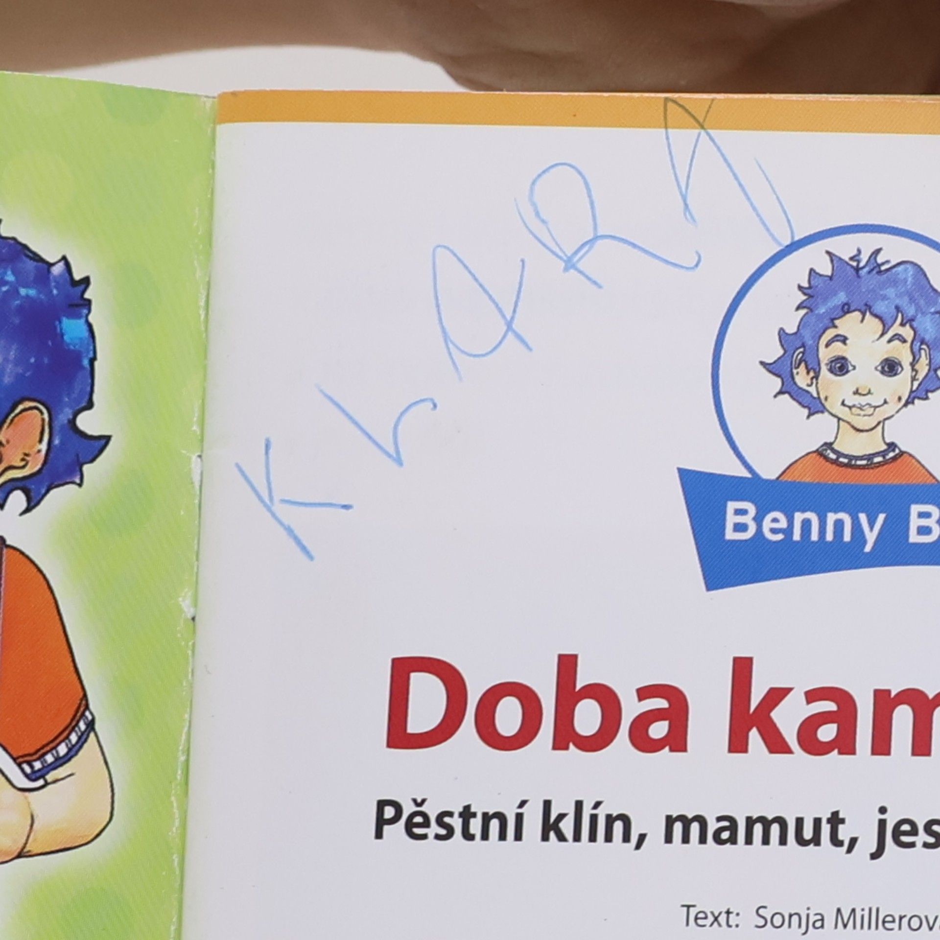 Sonja Müller Doba kamenná : pěstní klín, mamut, jeskynní kresby