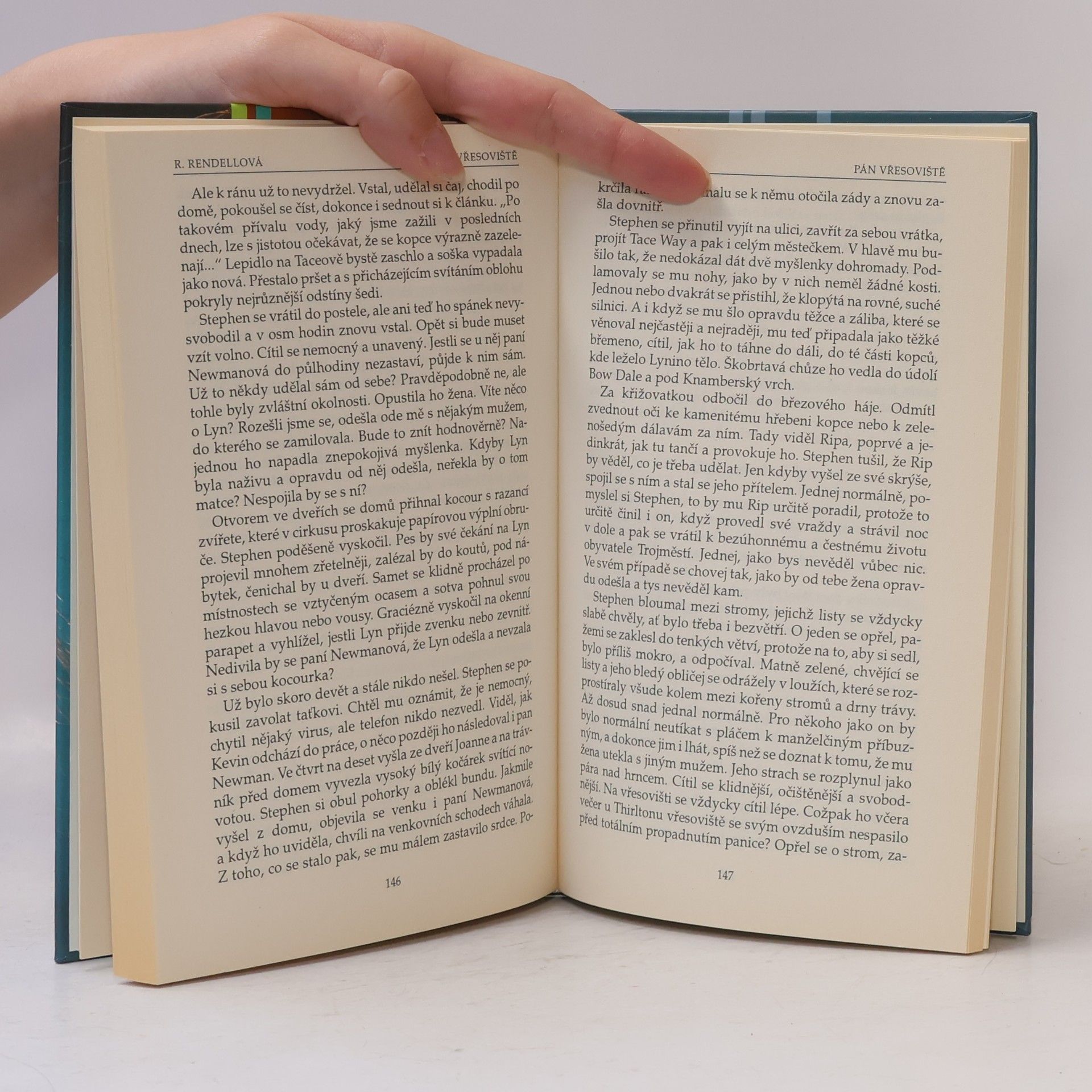 Ruth Rendell Pán vřesoviště