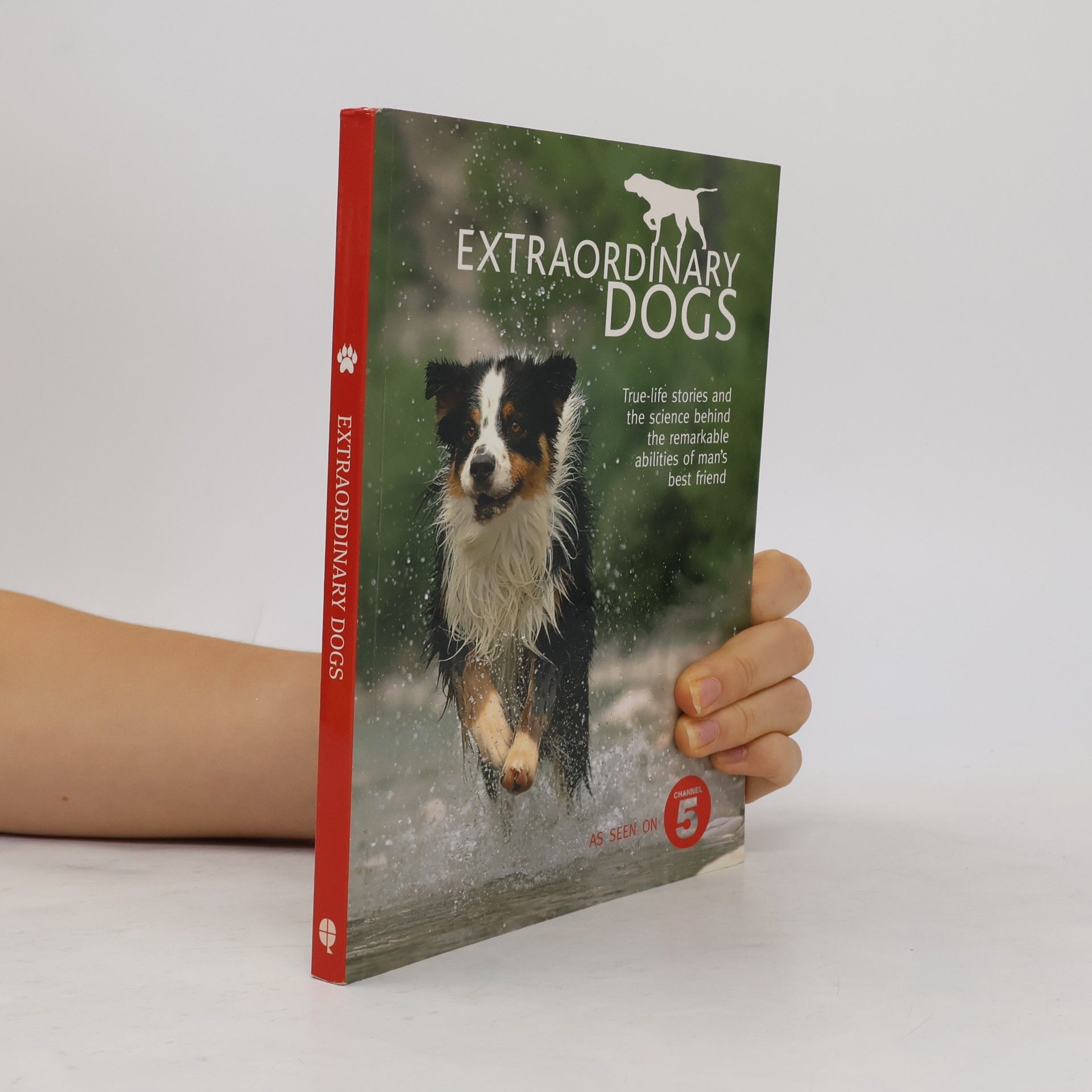 Elizabeth Wihide Extraordinary Dogs