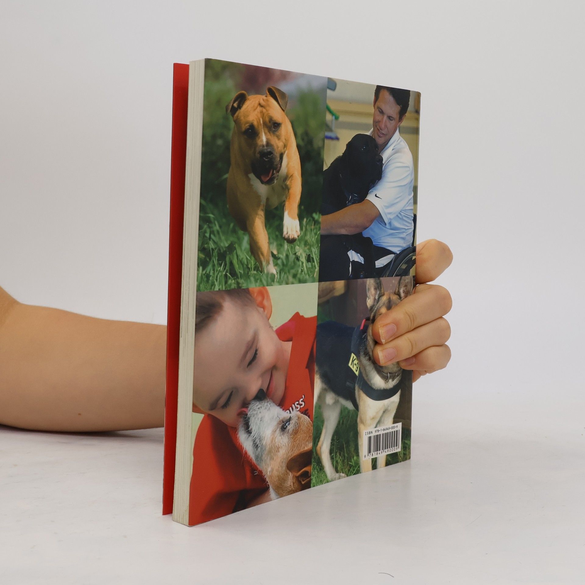 Elizabeth Wihide Extraordinary Dogs
