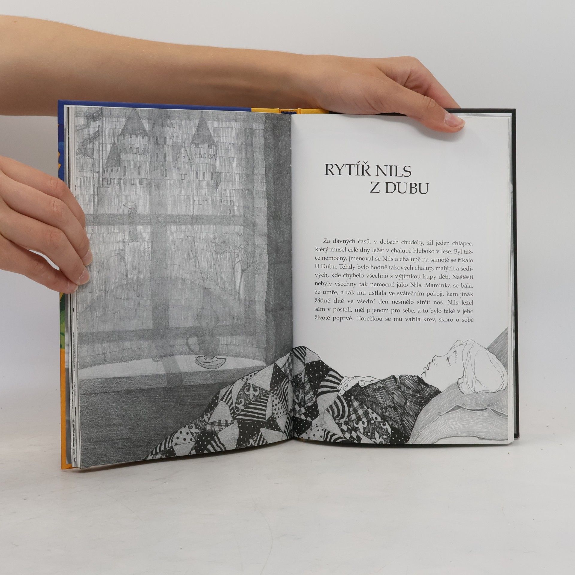 Astrid Lindgren Jižní louka