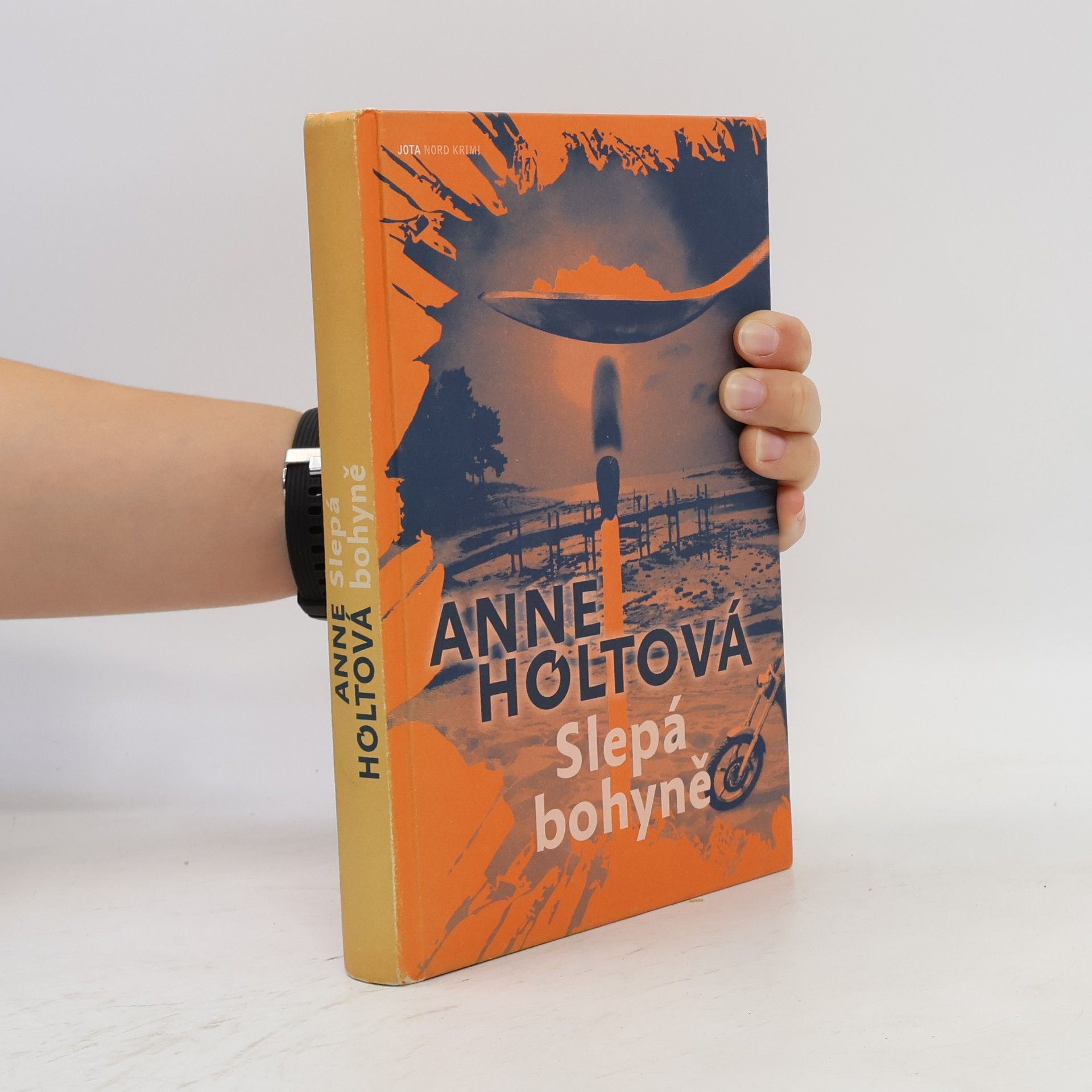 Anne Holt Slepá bohyně