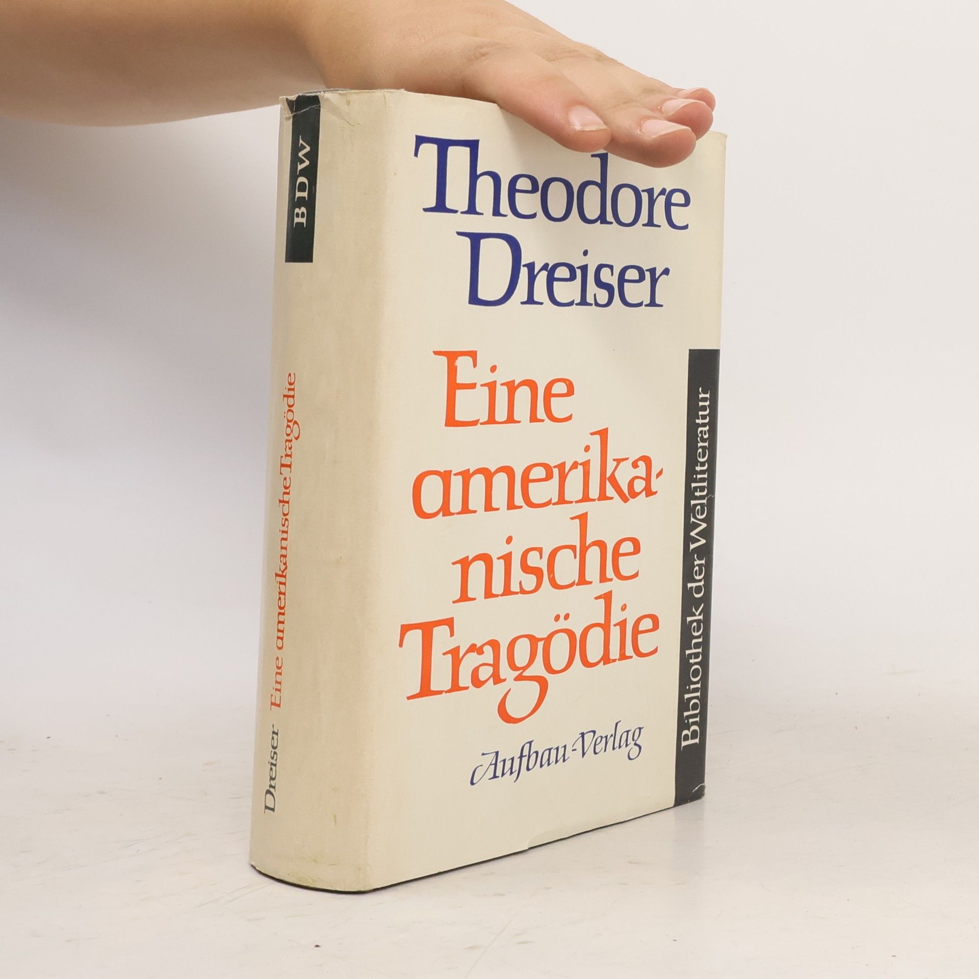 Theodore Dreiser Eine amerikanische Tragödie