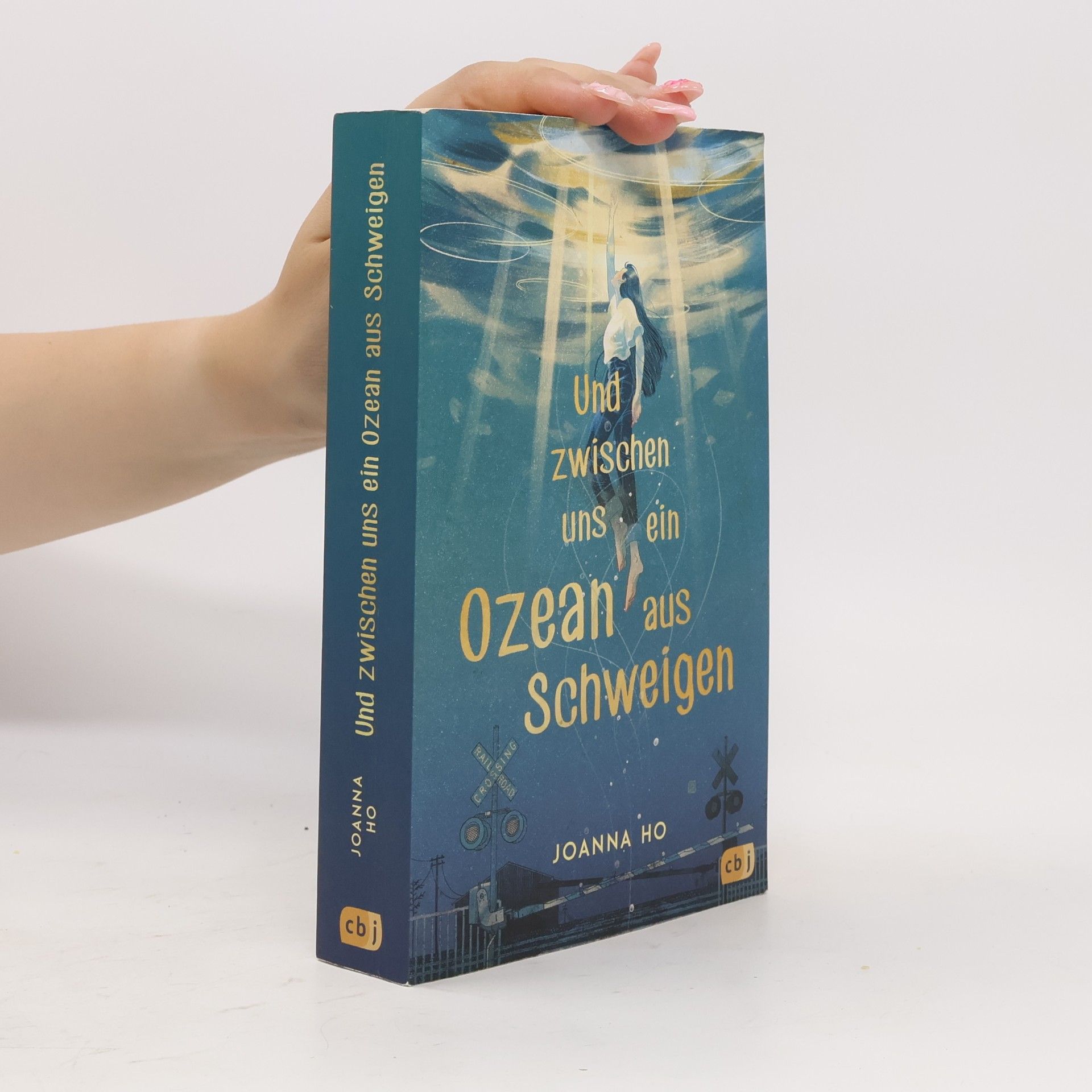 Joanna Ho Und zwischen uns ein Ozean aus Schweigen