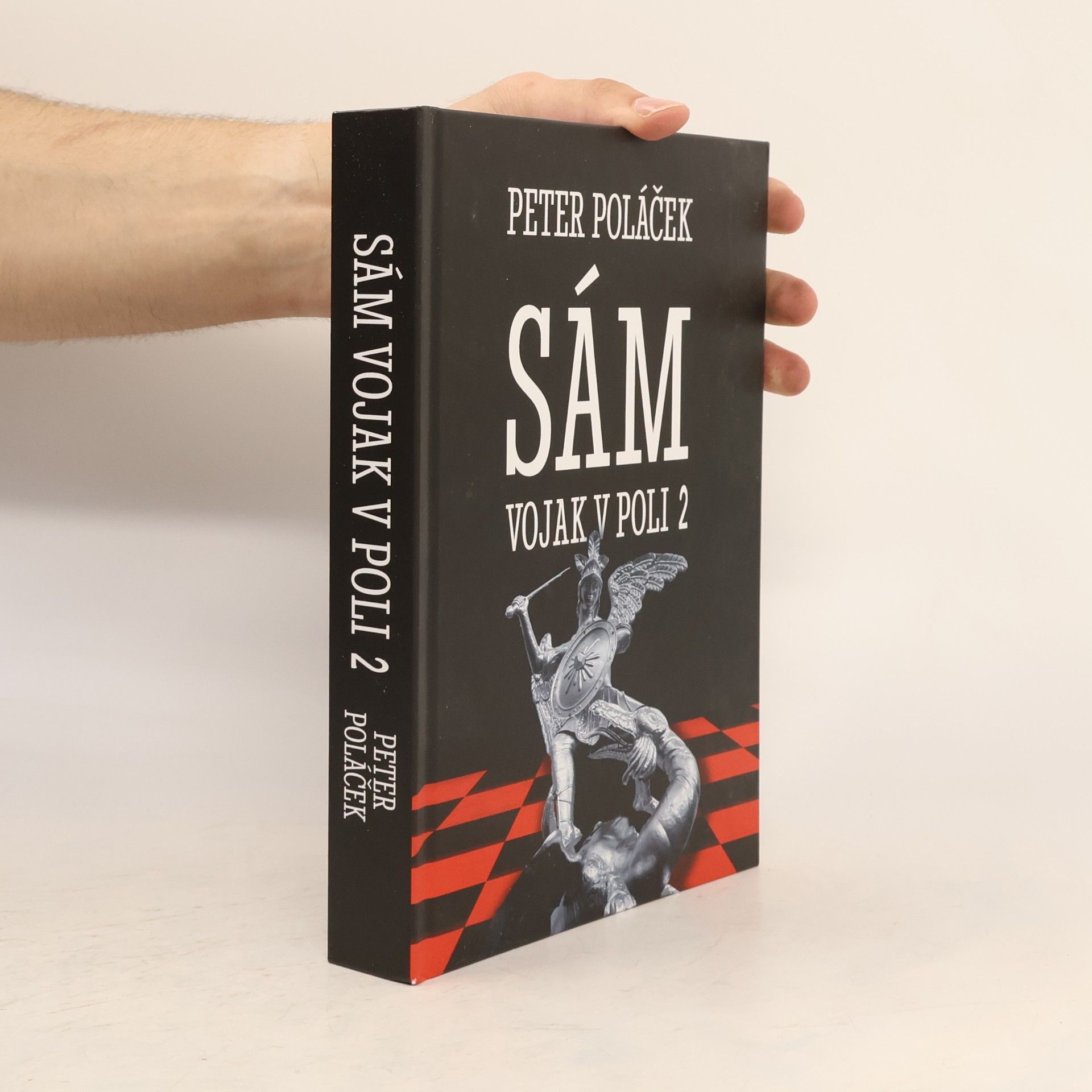 Peter Poláček Sám vojak v poli 2