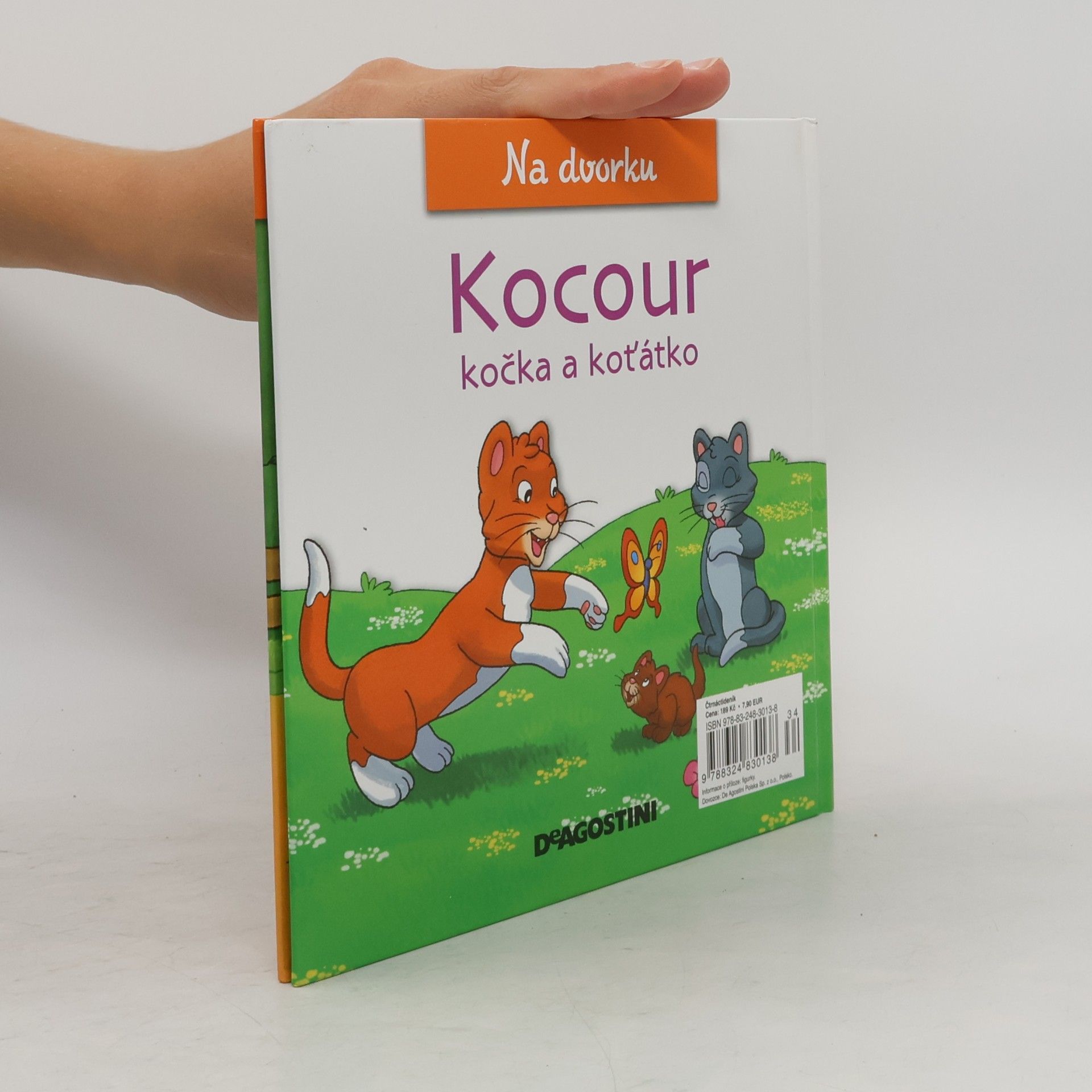 Autorenkollektiv Na dvorku 14. Kocour